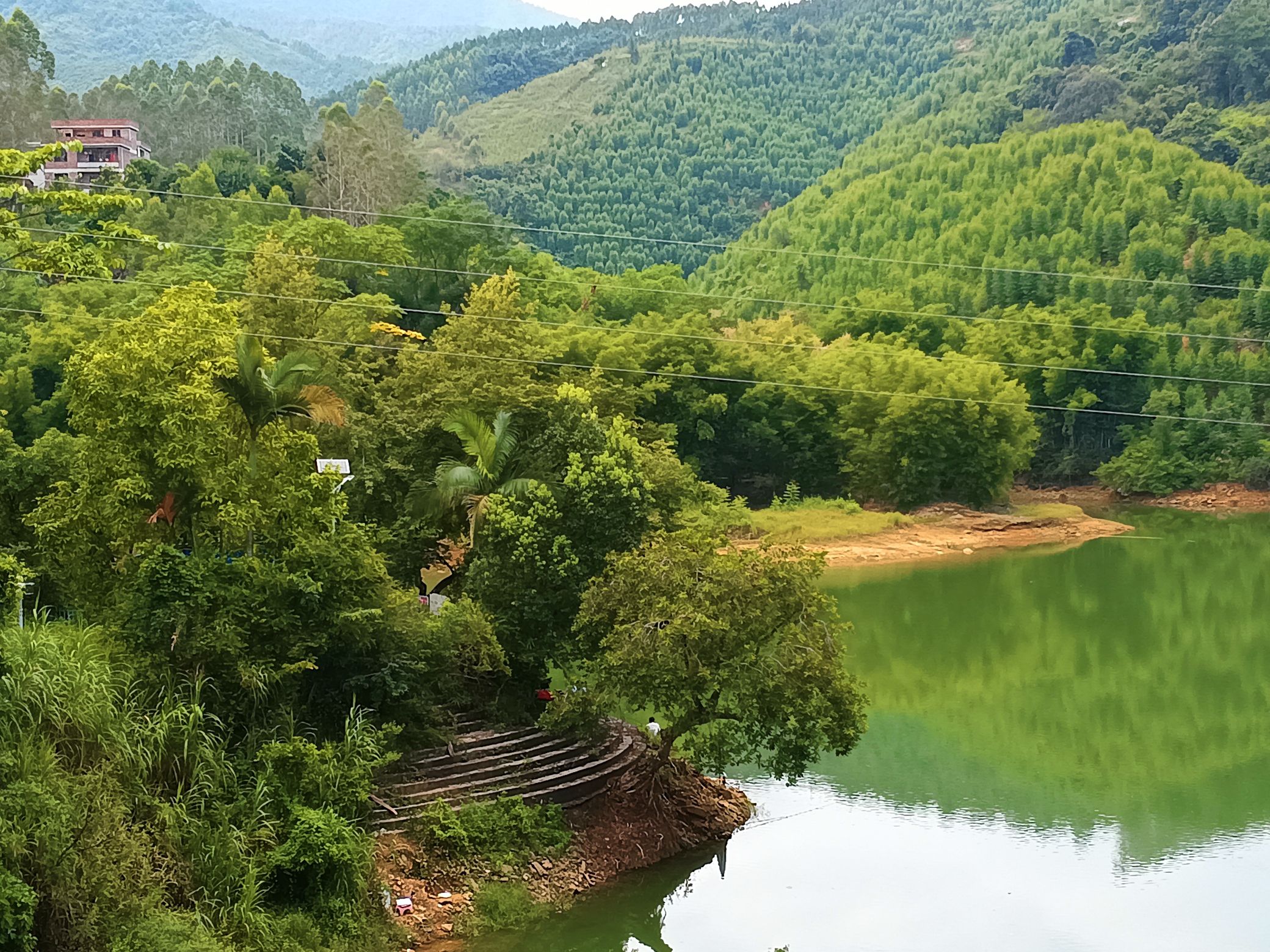 仙人湖景区旅行图片 2