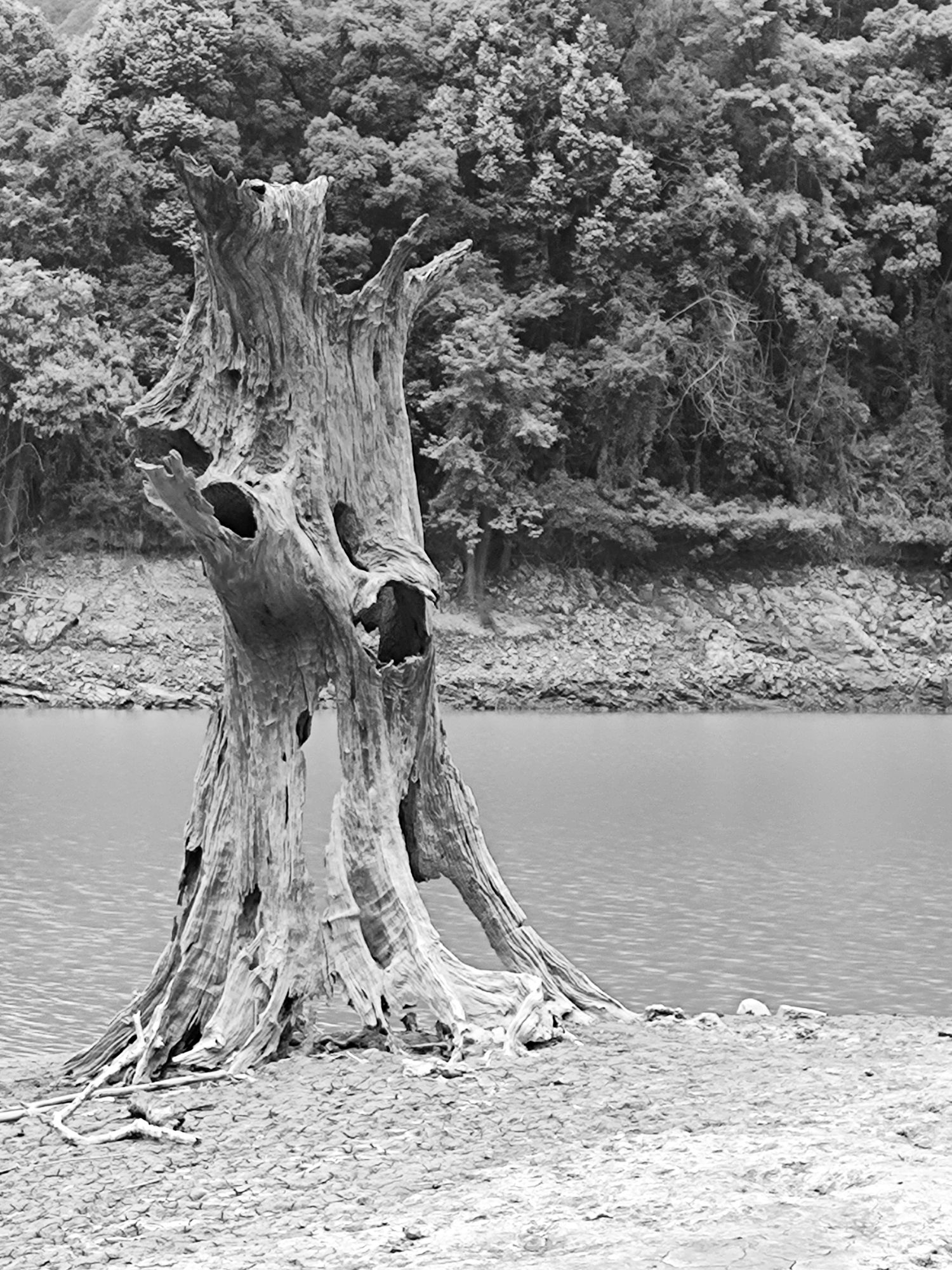 仙人湖景区旅行图片 2