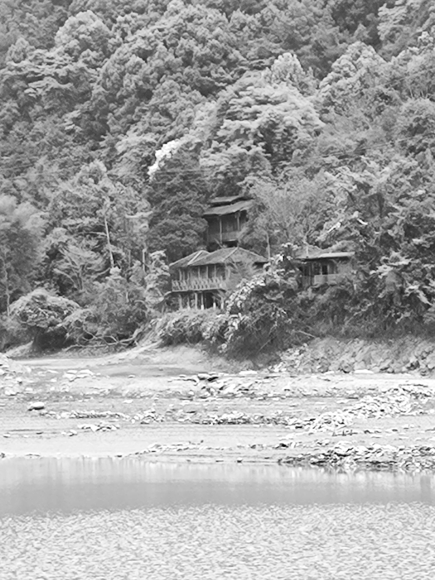 仙人湖景区旅行图片 3