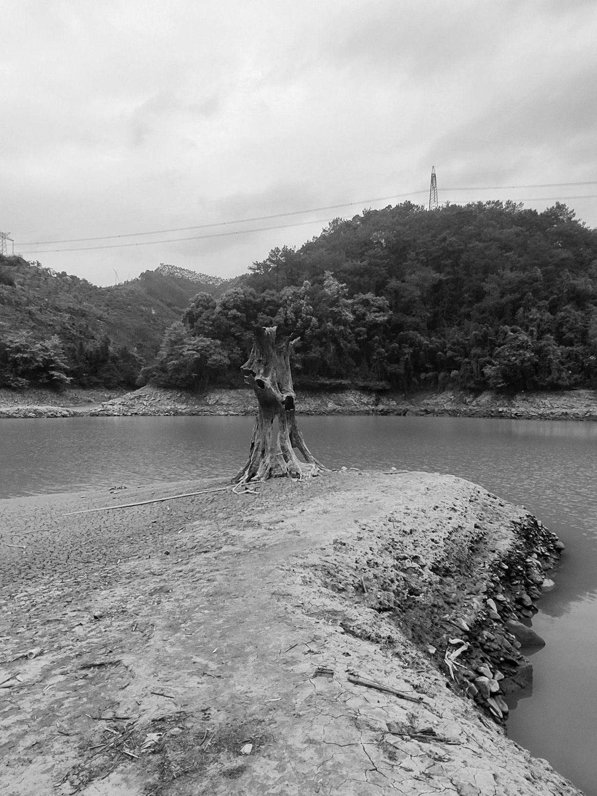 仙人湖景区旅行图片 1