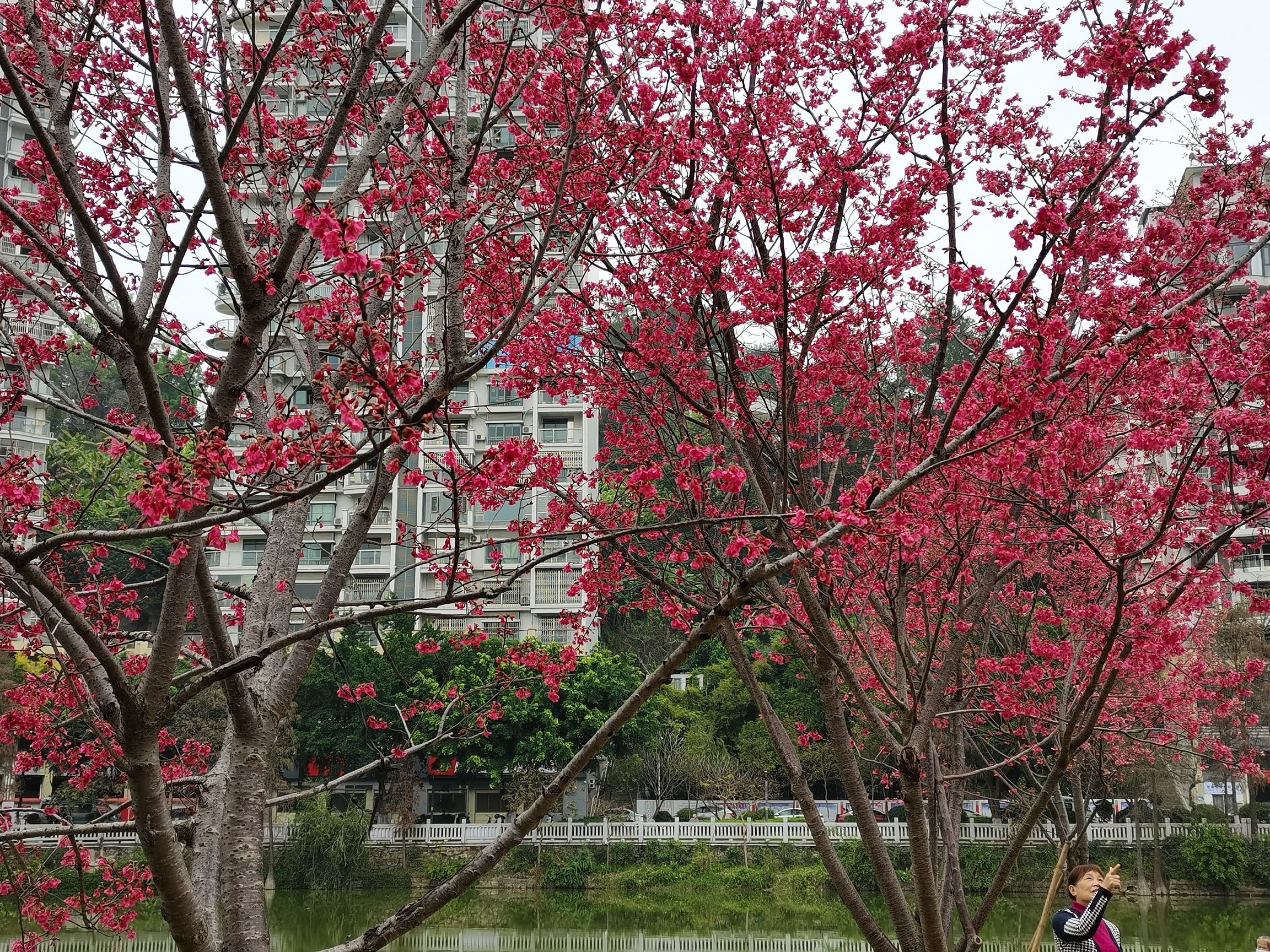 潘塘公园旅行图片 2