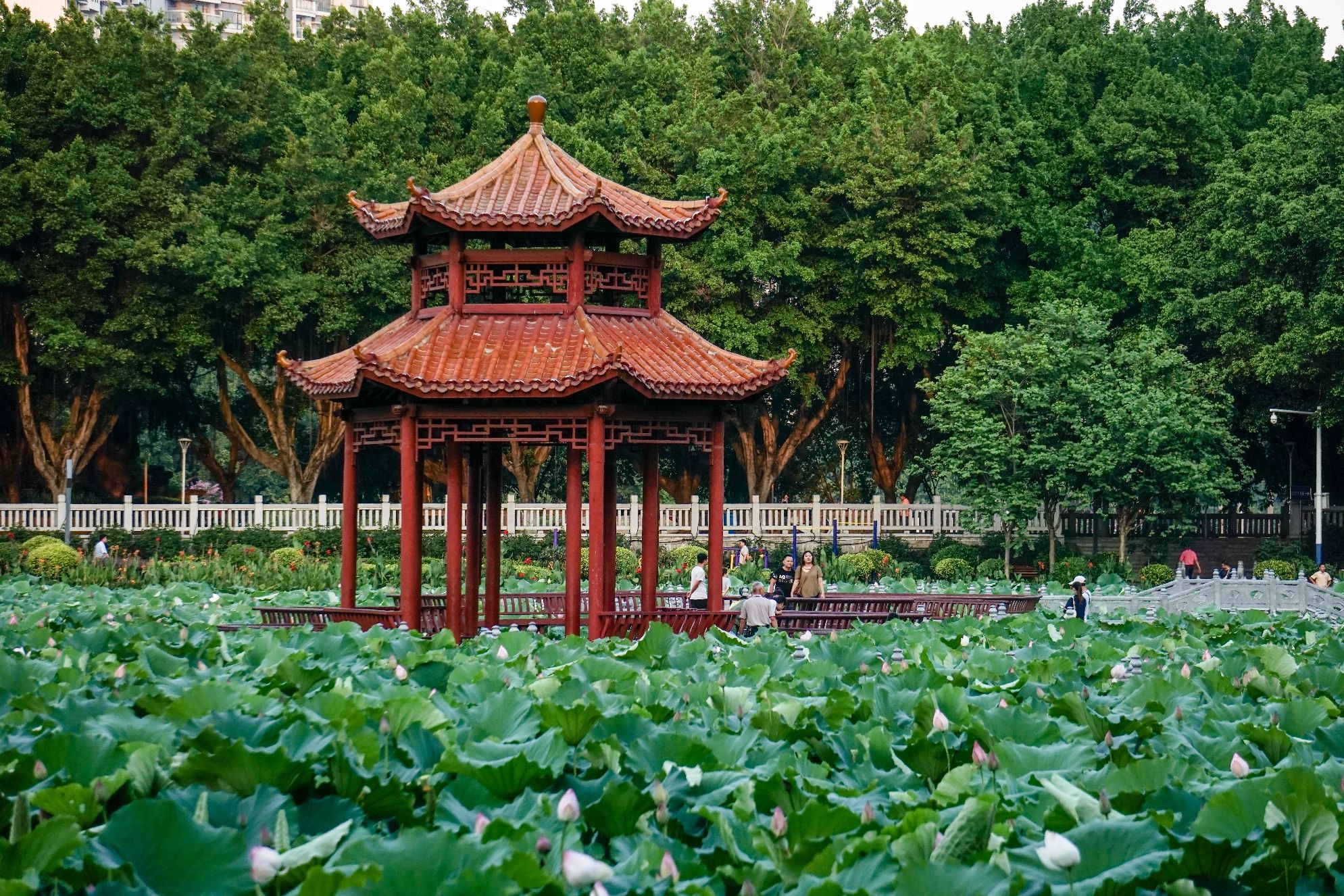 潘塘公园旅行图片 1