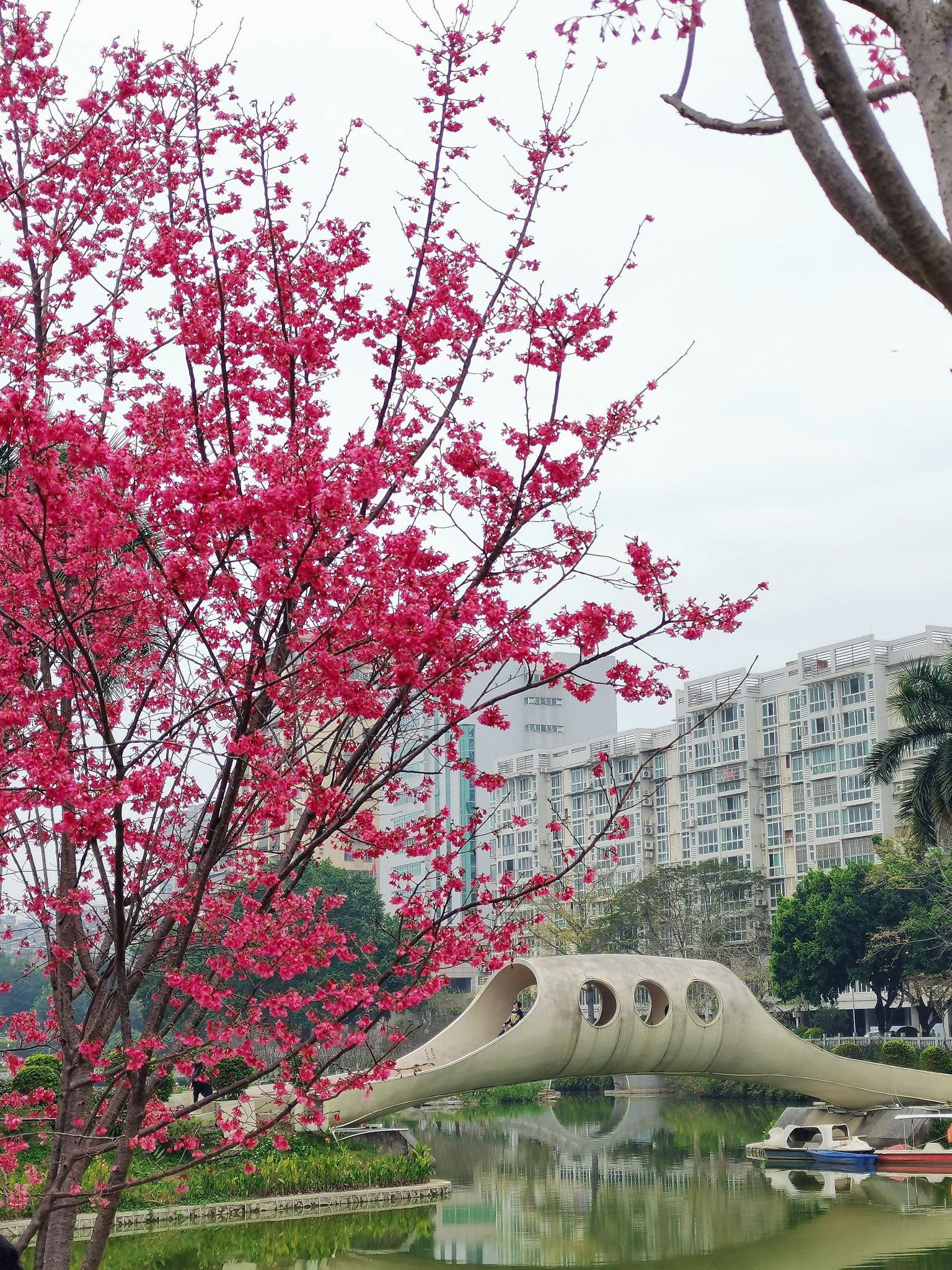 潘塘公园