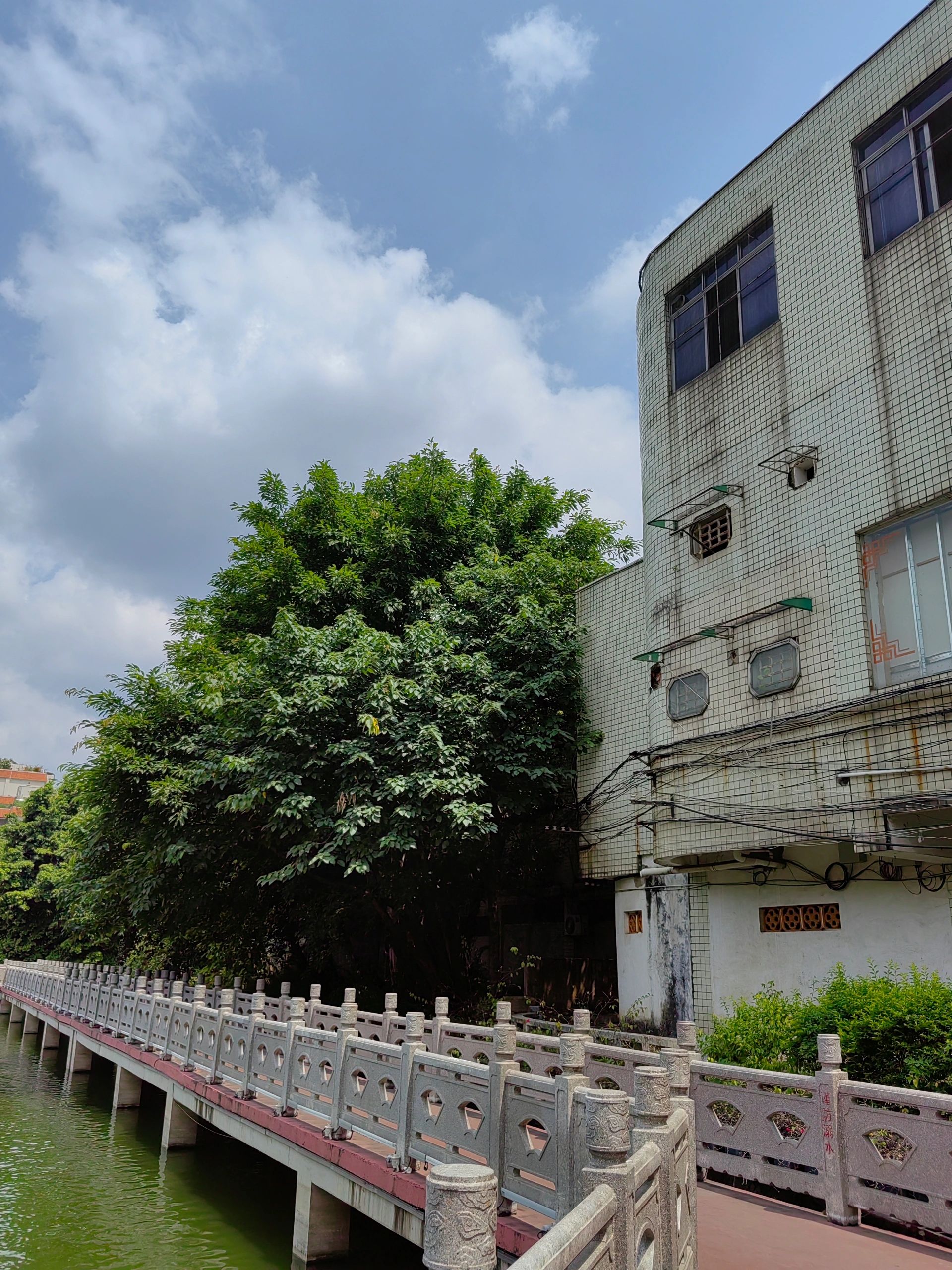 潘塘公园旅行图片 3