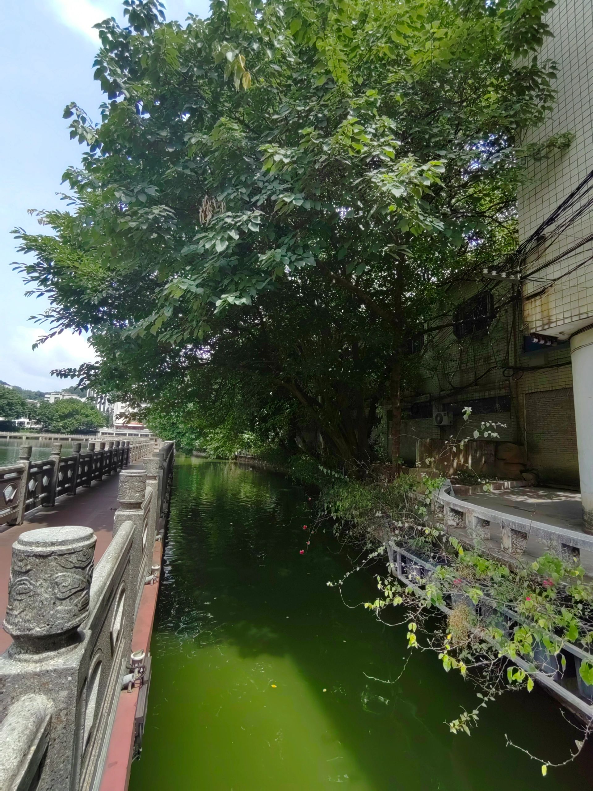 潘塘公园旅行图片 2
