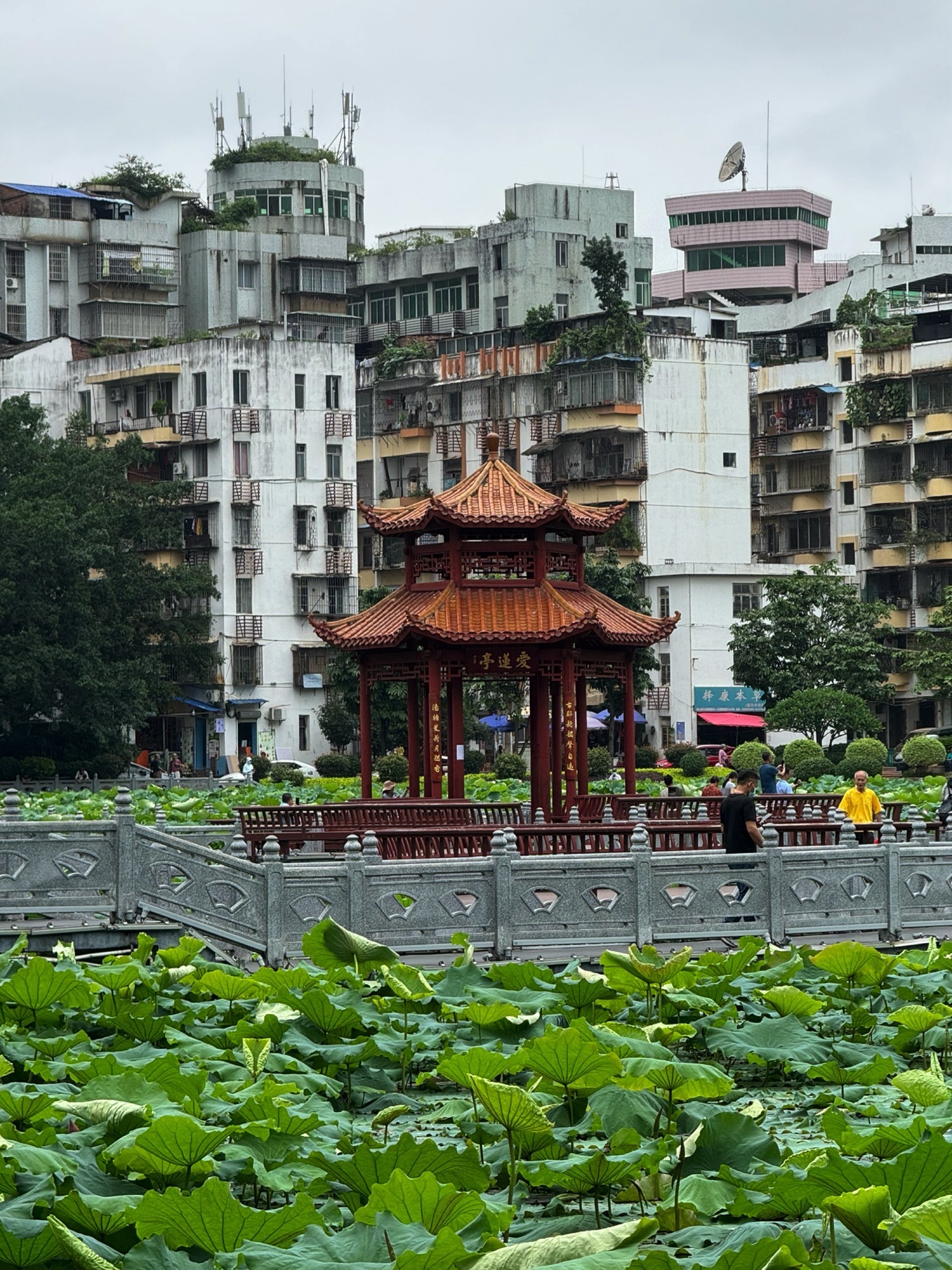 潘塘公园旅行图片 1