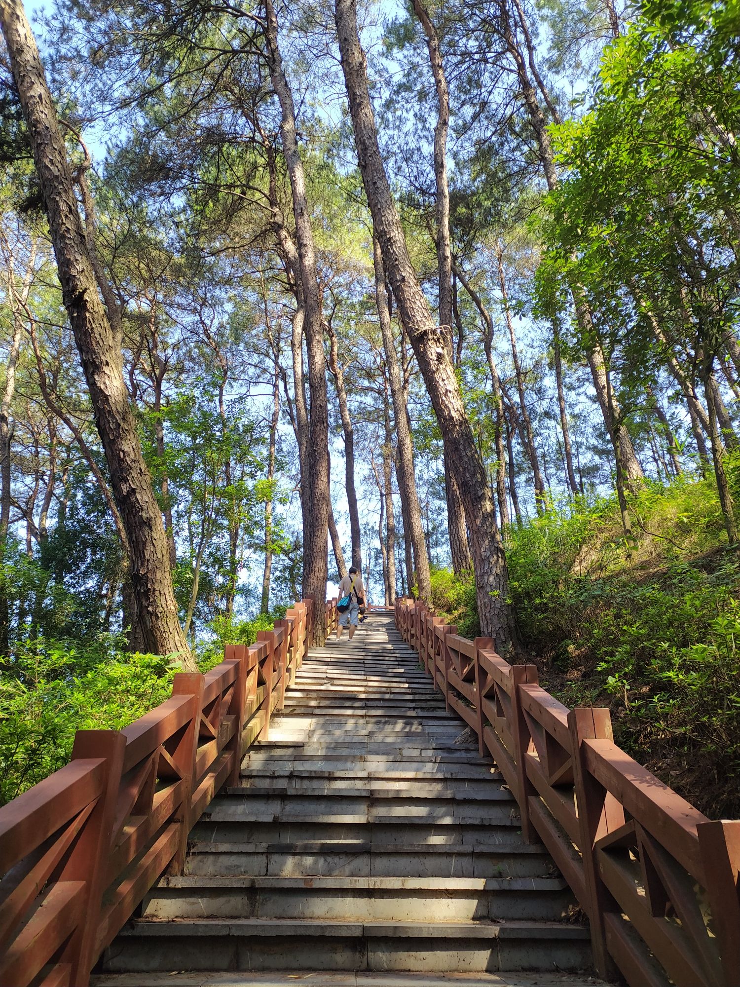 炳蔚塔旅行图片 2