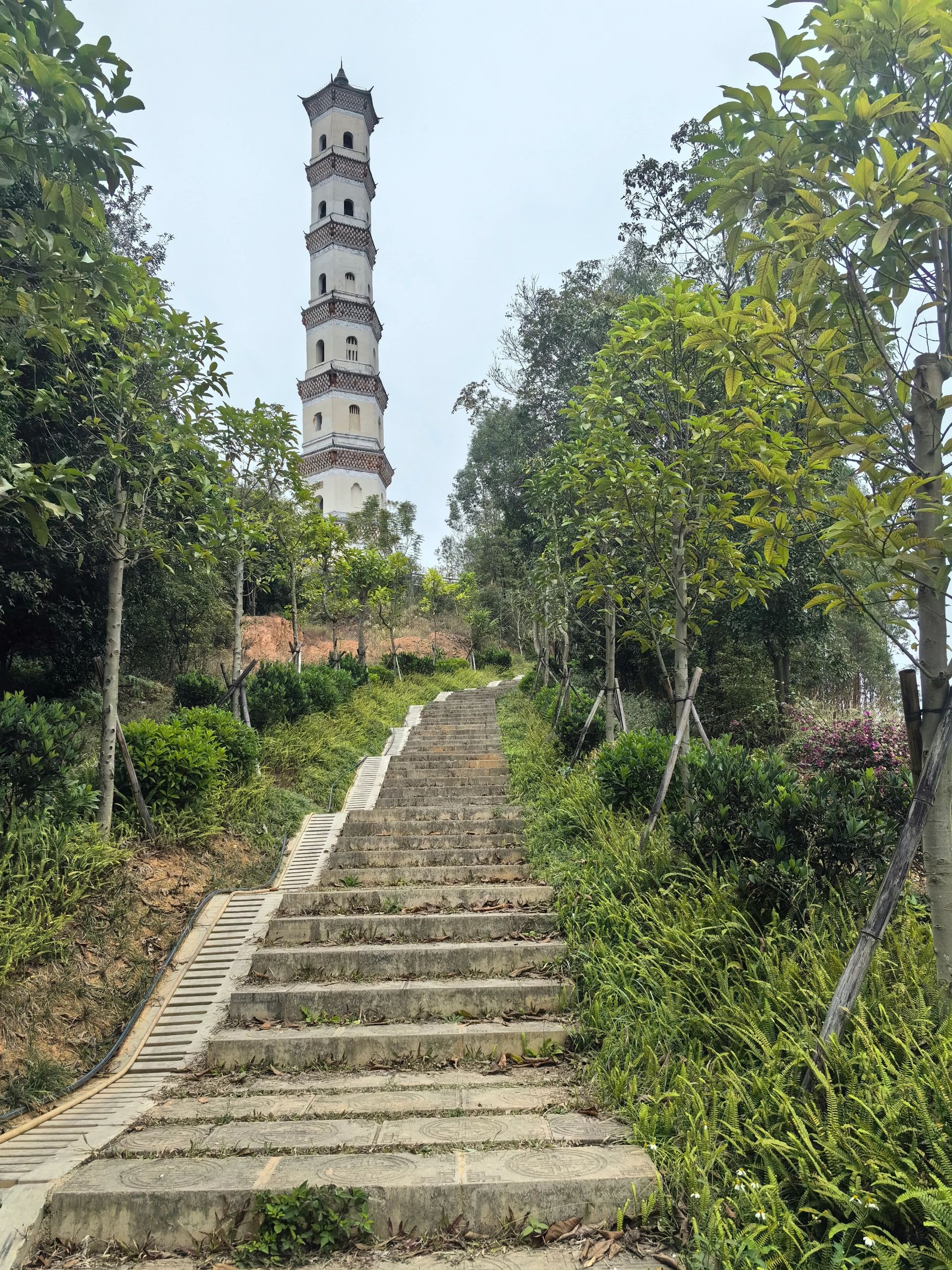炳蔚塔旅行图片 1