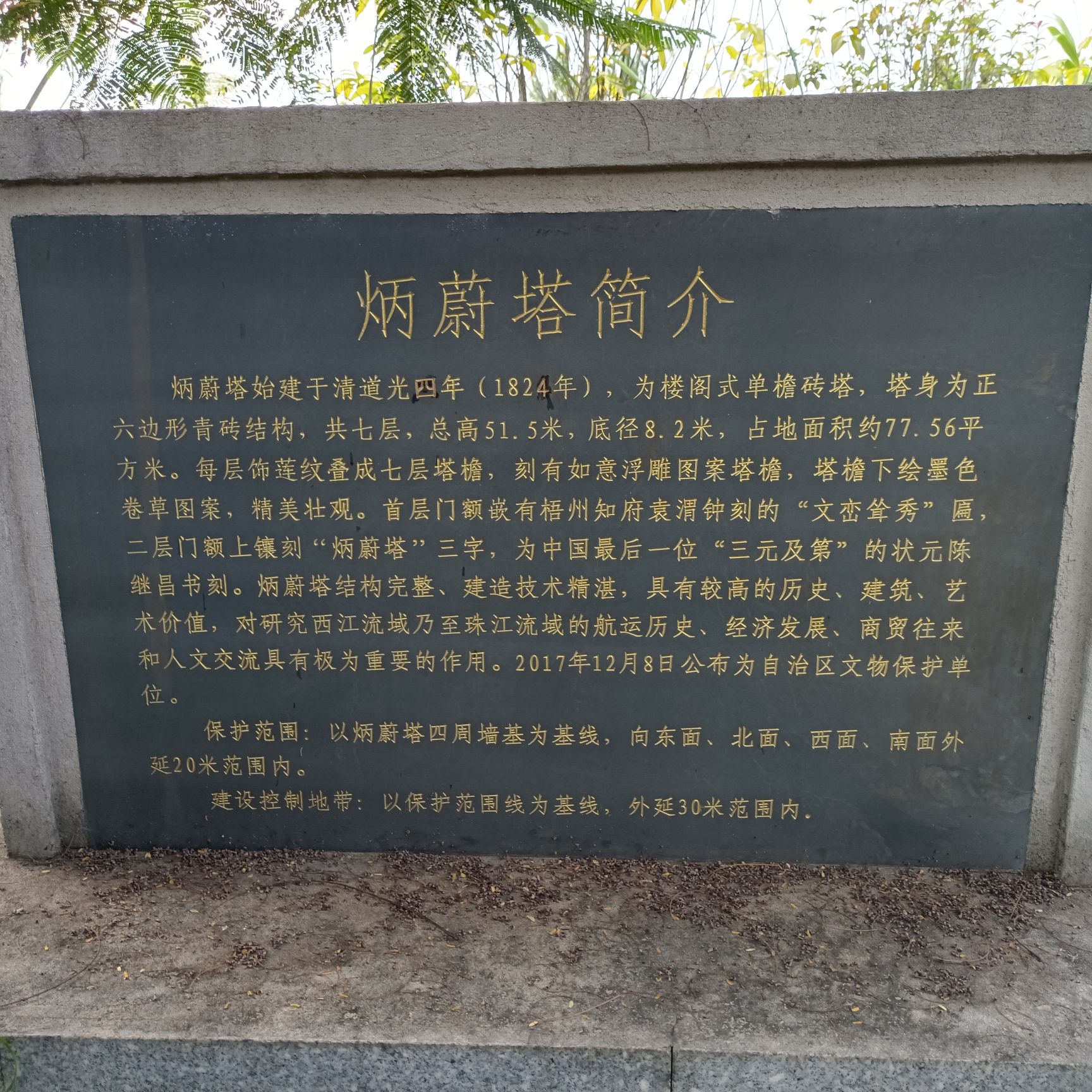 炳蔚塔旅行图片 3
