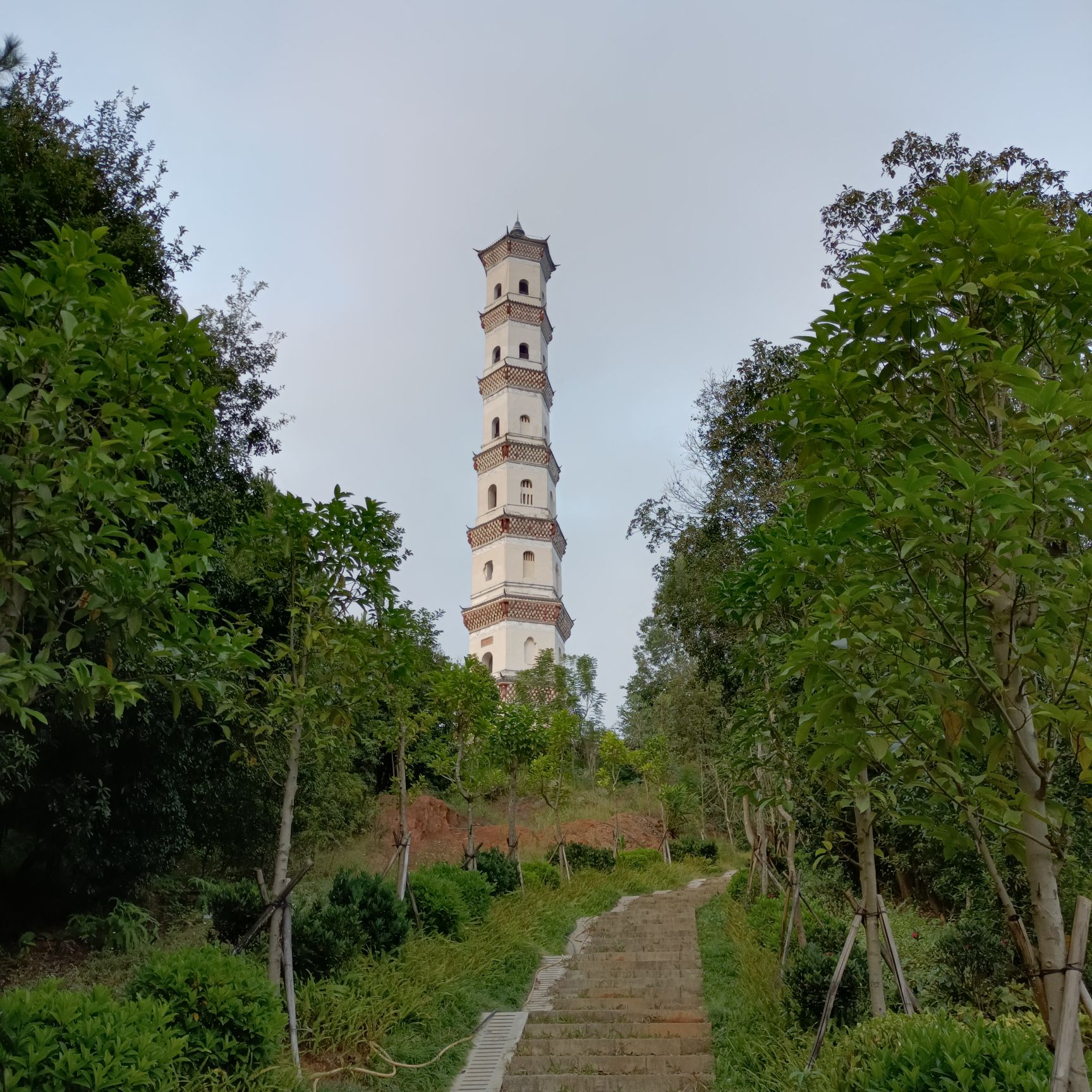 炳蔚塔旅行图片 1