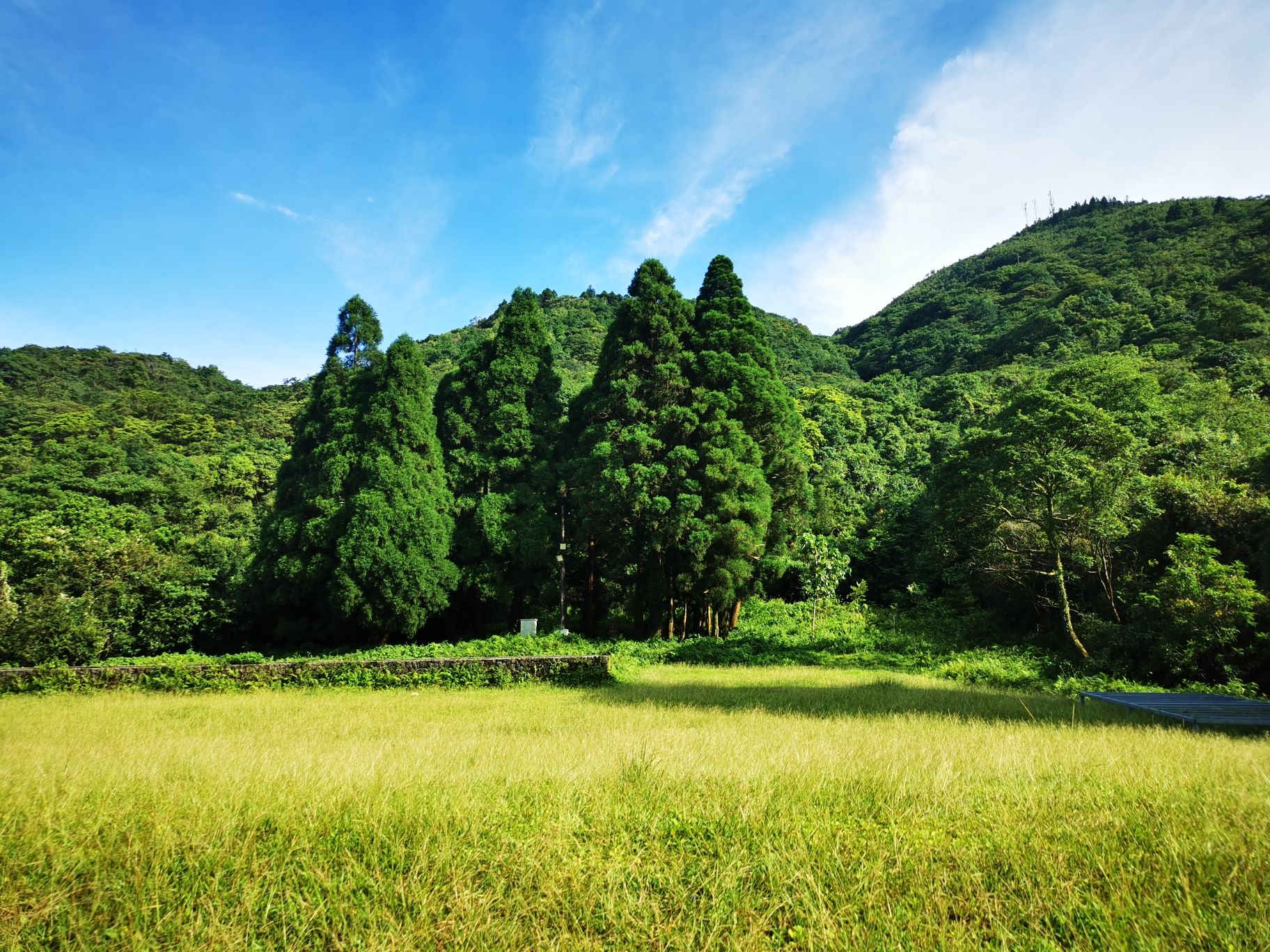 大容山国家森林公园旅行图片 2