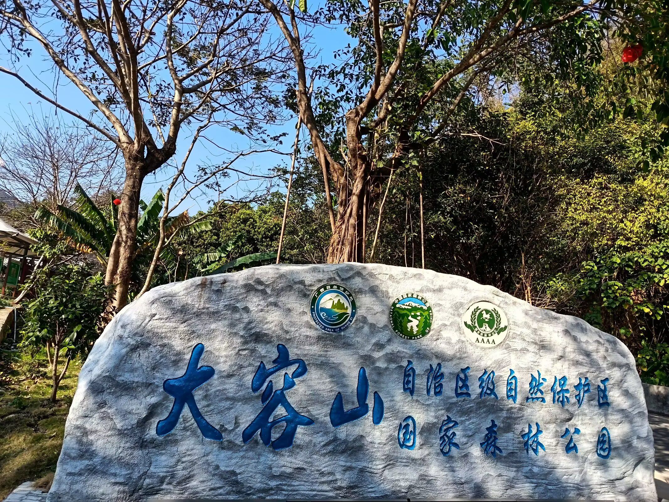 大容山国家森林公园旅行图片 1
