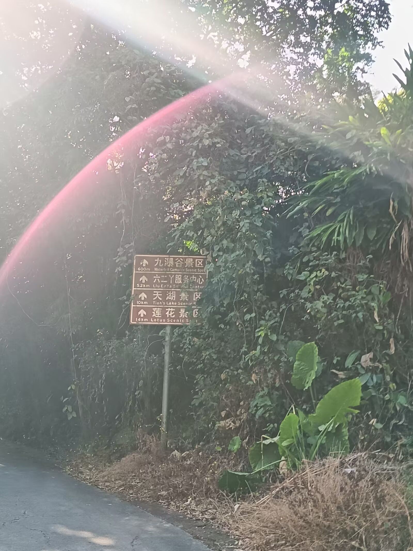 大容山国家森林公园旅行图片 3