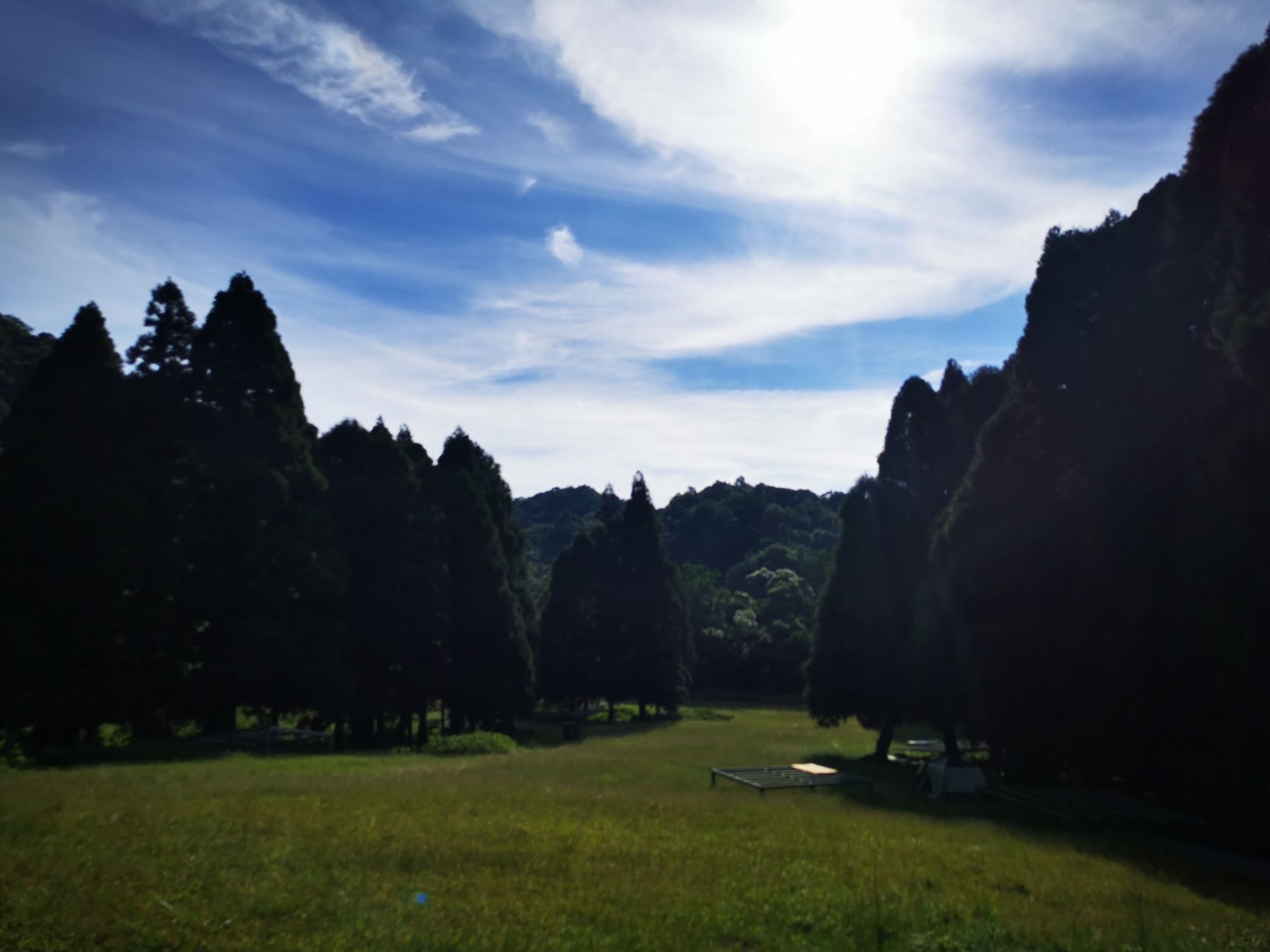 大容山国家森林公园旅行图片 3