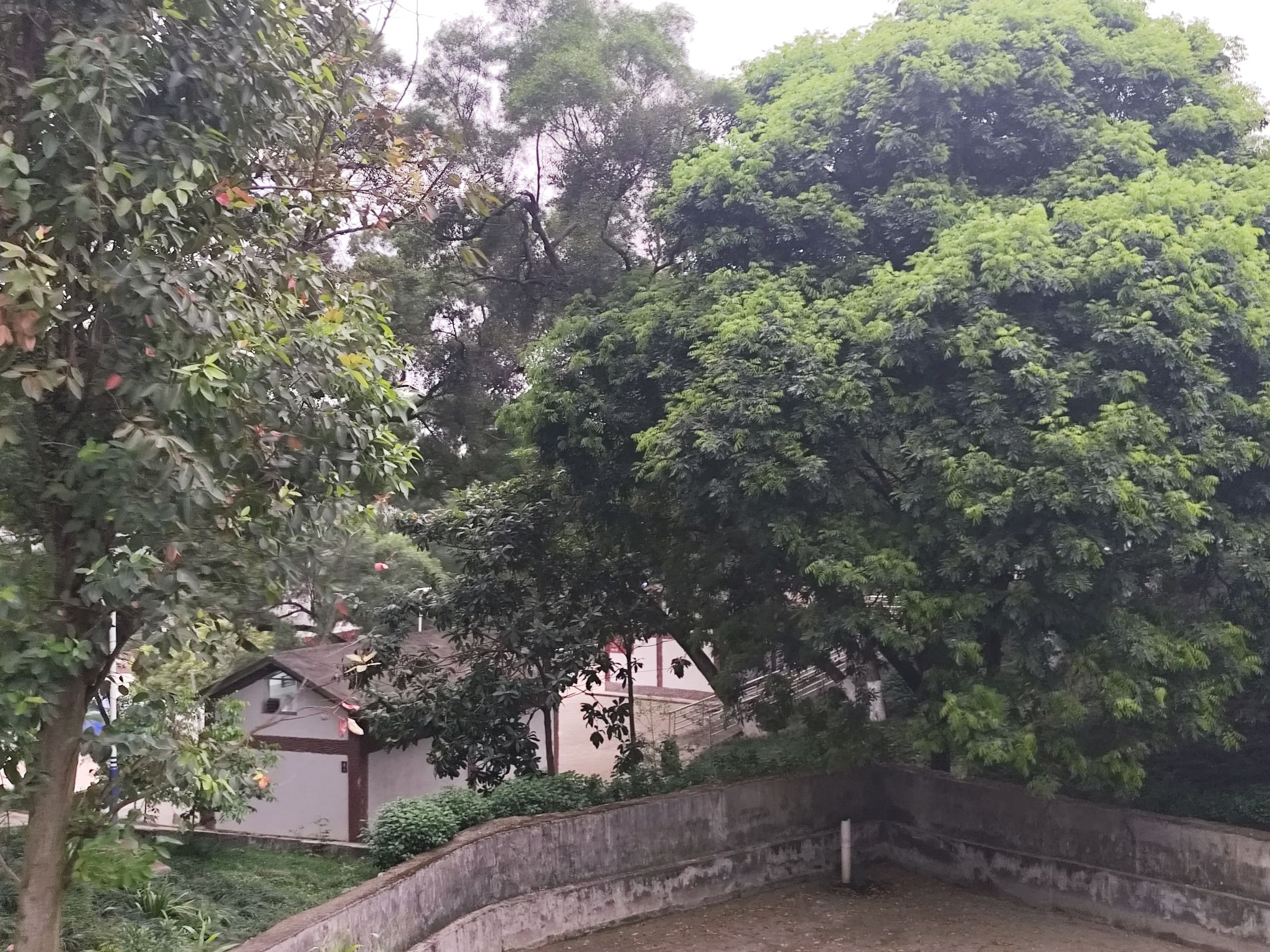 北流市李明瑞俞作豫纪念公园旅行图片 3
