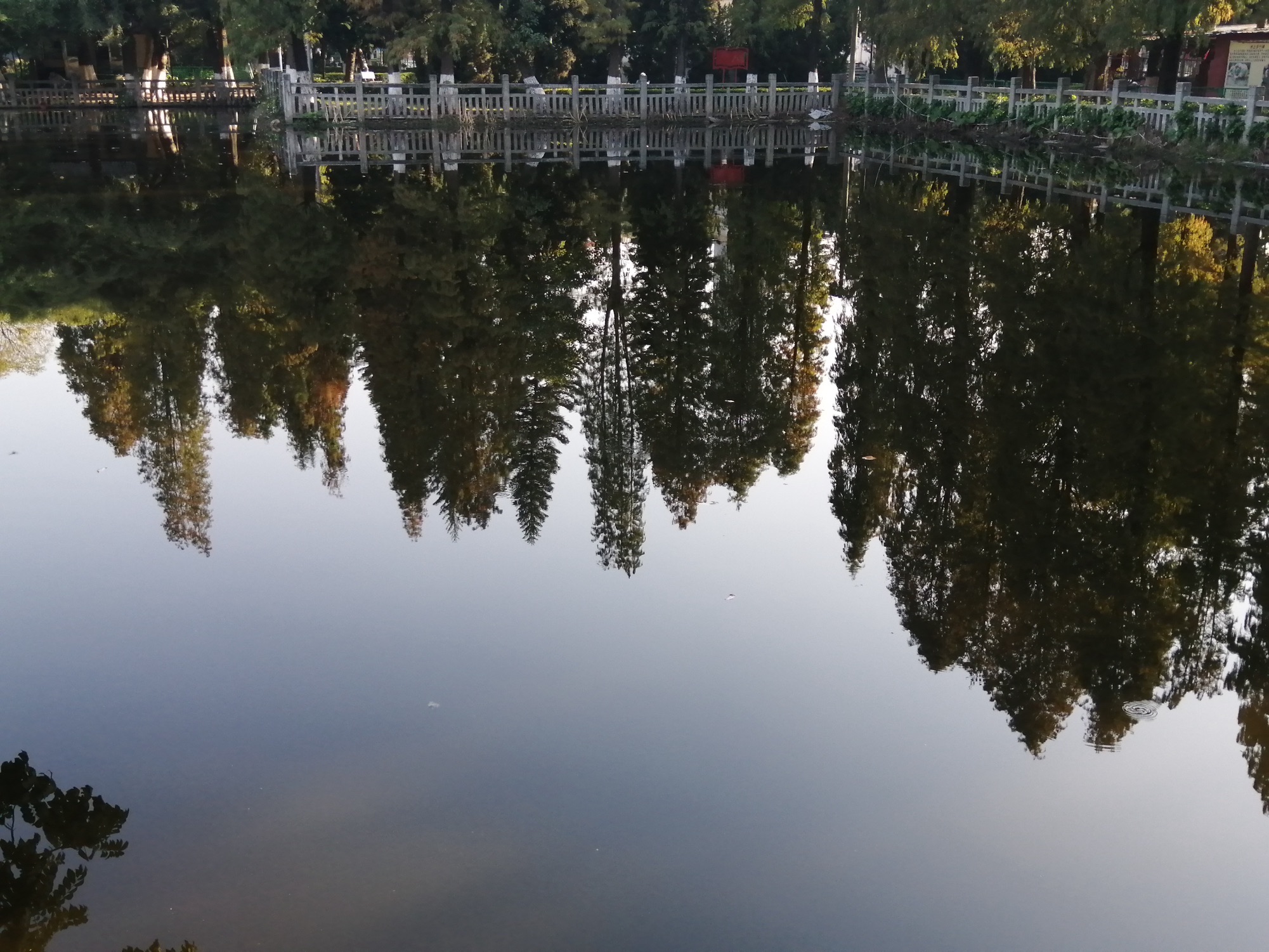 玉林市人民公园旅行图片 1