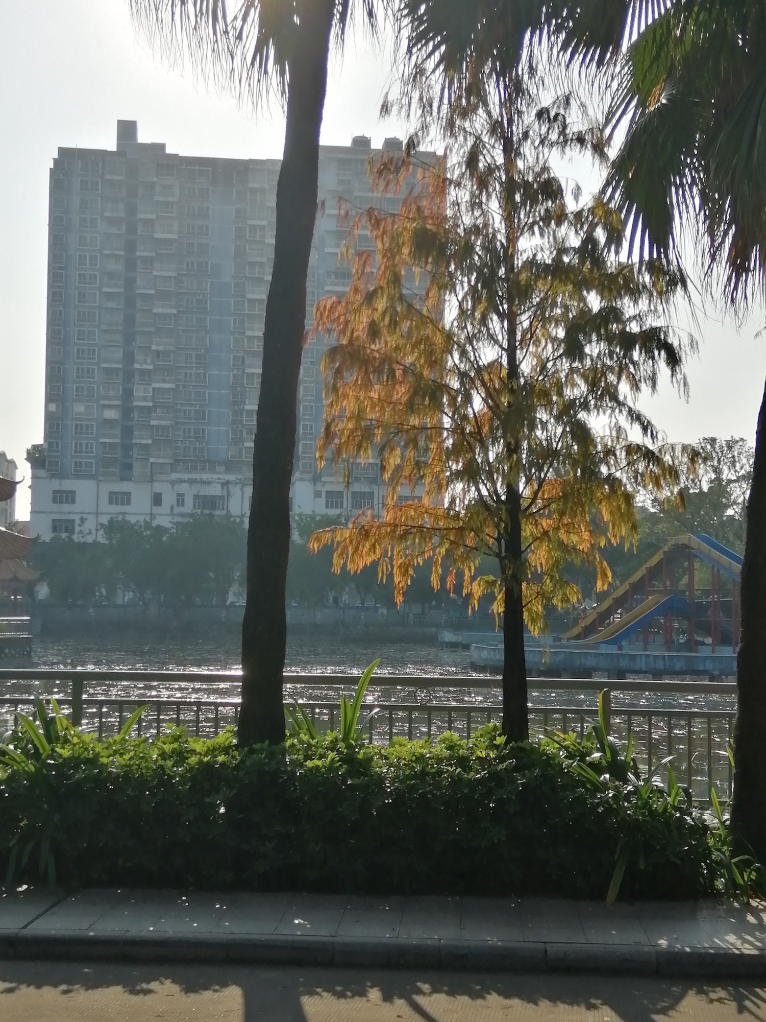 玉林市人民公园旅行图片 2