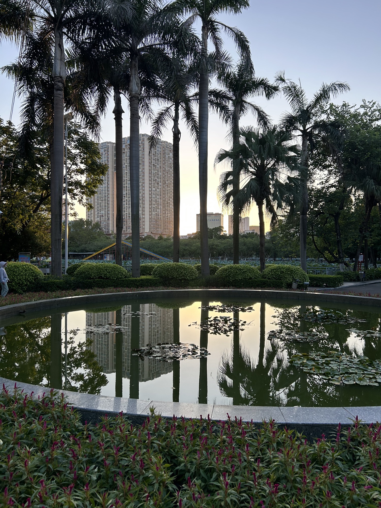 玉林市人民公园旅行图片 2