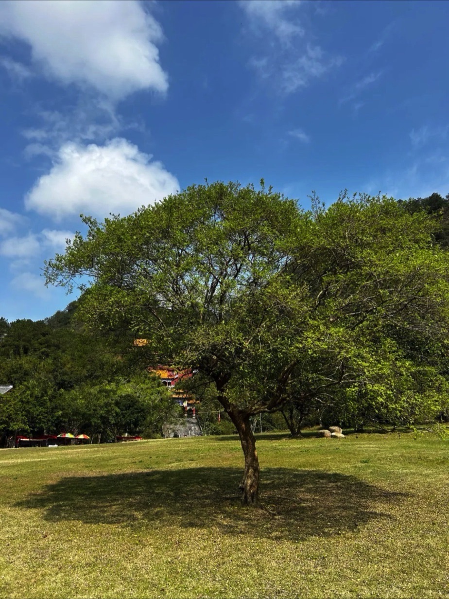 三名景区旅行图片 3