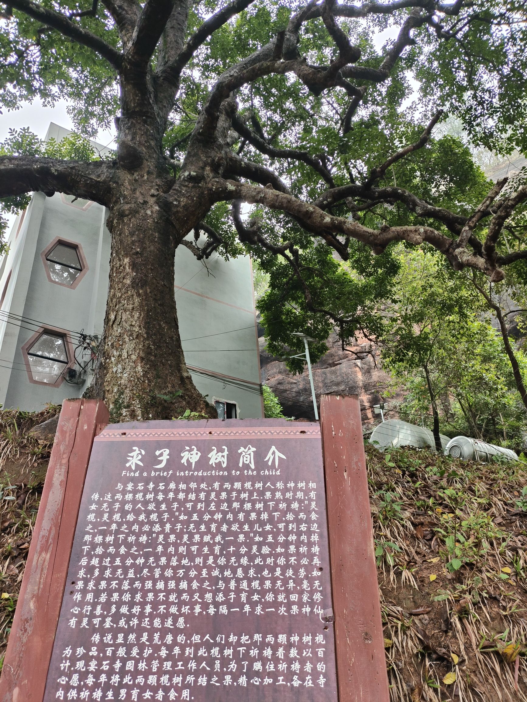 宴石山风景区旅行图片 3