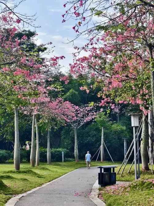 牛运岭公园旅行图片 3