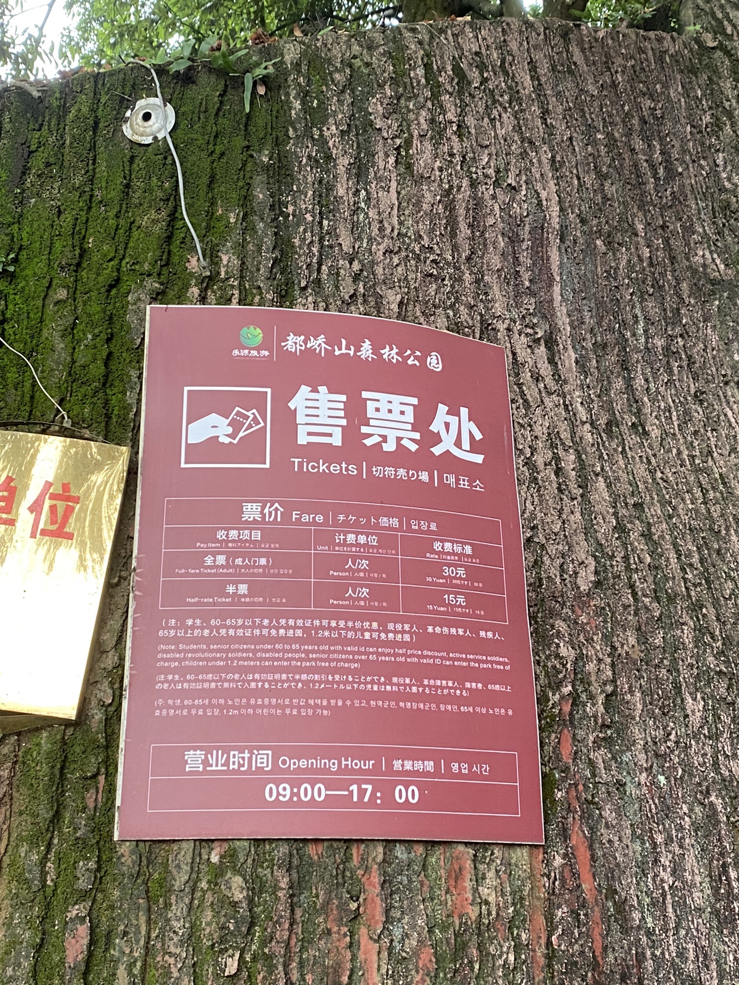容县都峤山森林公园旅行图片 2