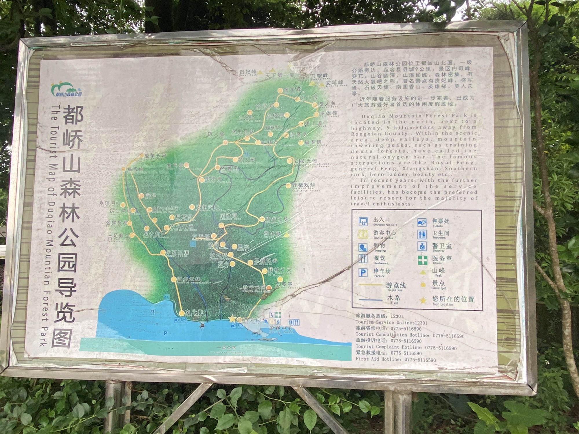 容县都峤山森林公园旅行图片