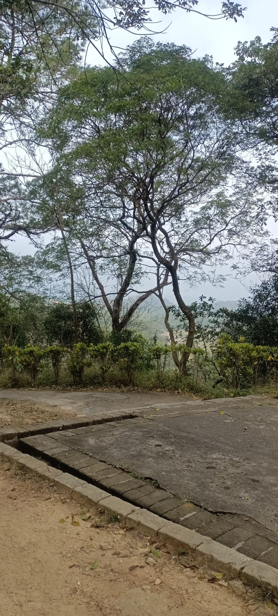 谢鲁山庄旅行图片 3