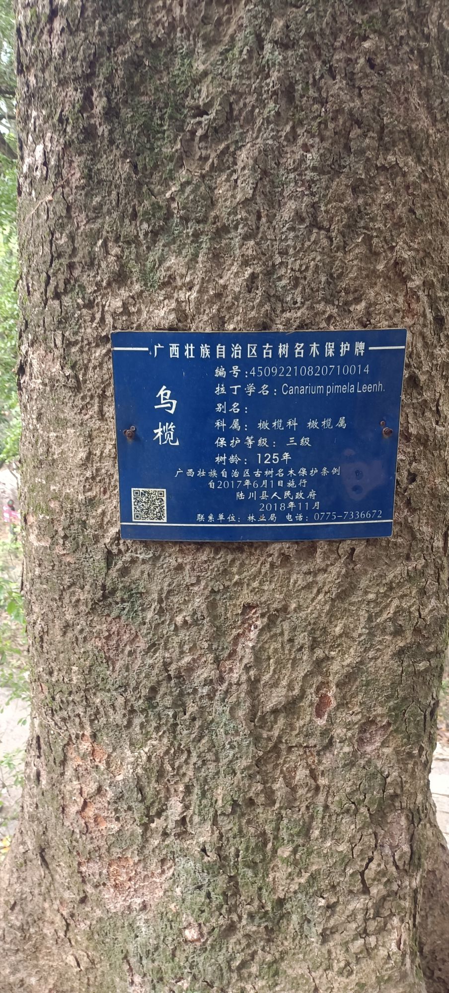 谢鲁山庄旅行图片 2