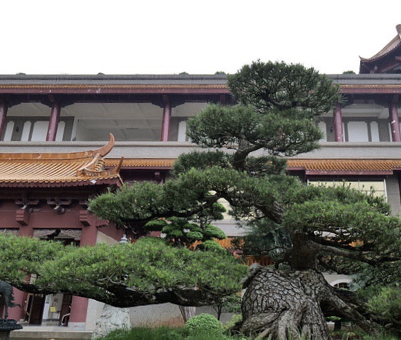 云天文化城旅行图片 3