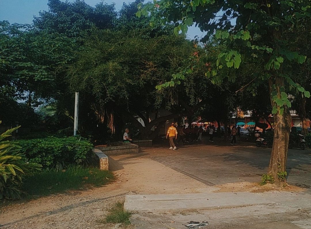 清湾江公园旅行图片 1