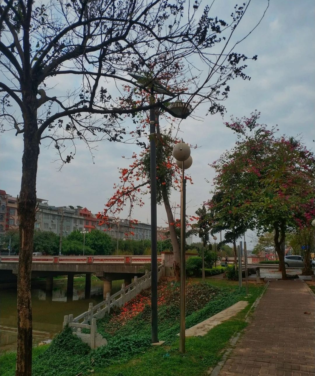 清湾江公园旅行图片 2
