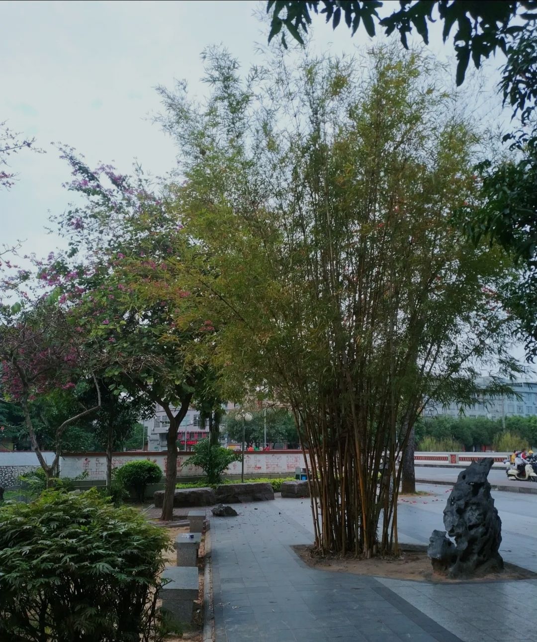 清湾江公园旅行图片 3