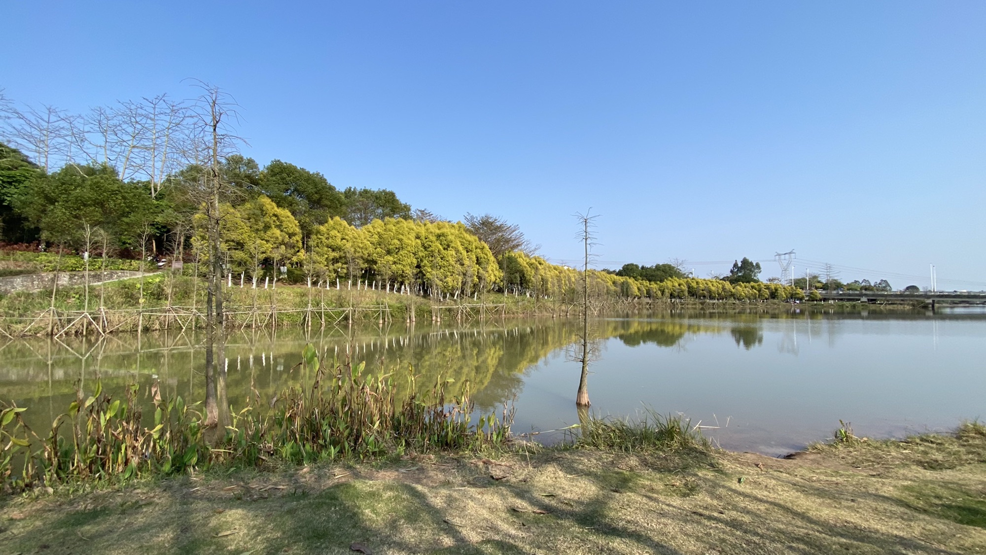 玉林市龟山公园旅行图片 1