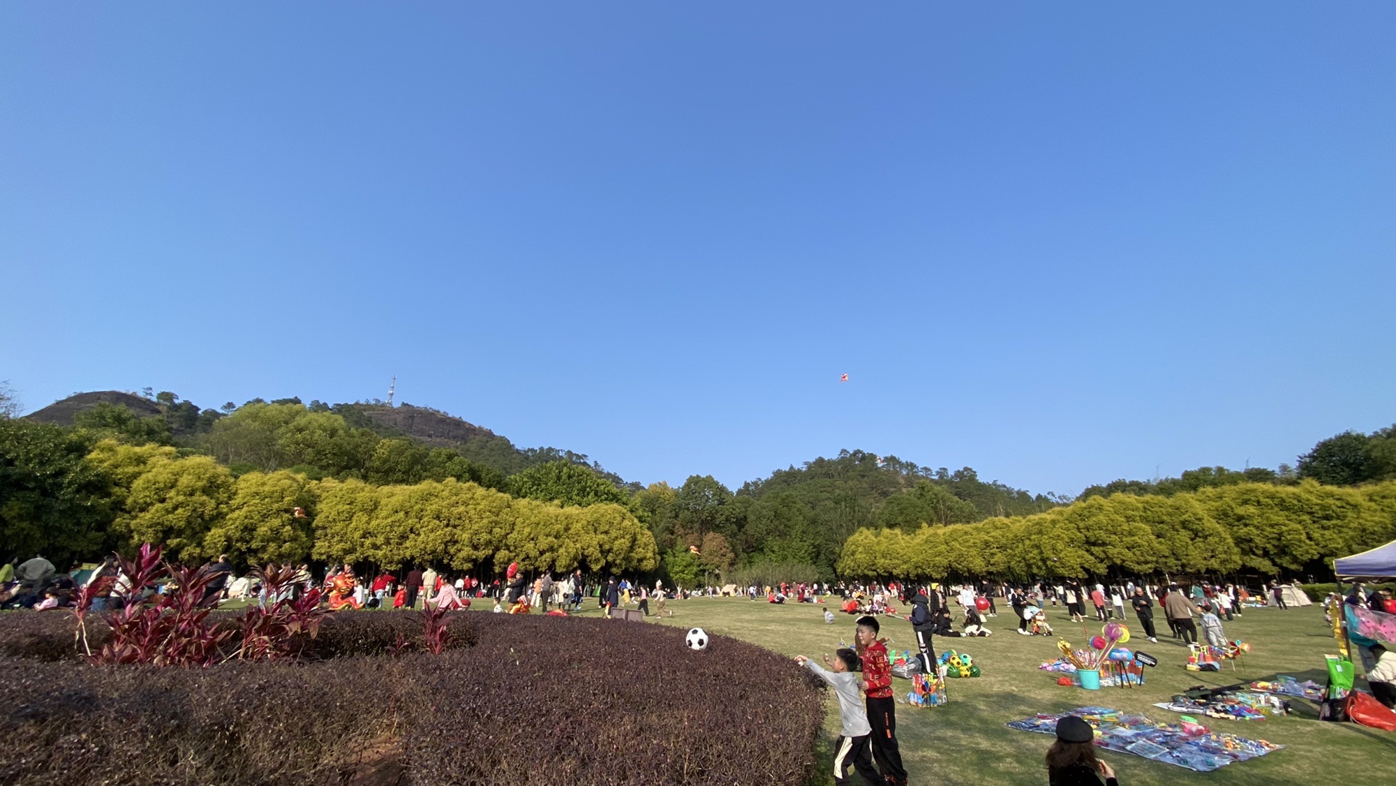 玉林市龟山公园旅行图片 2
