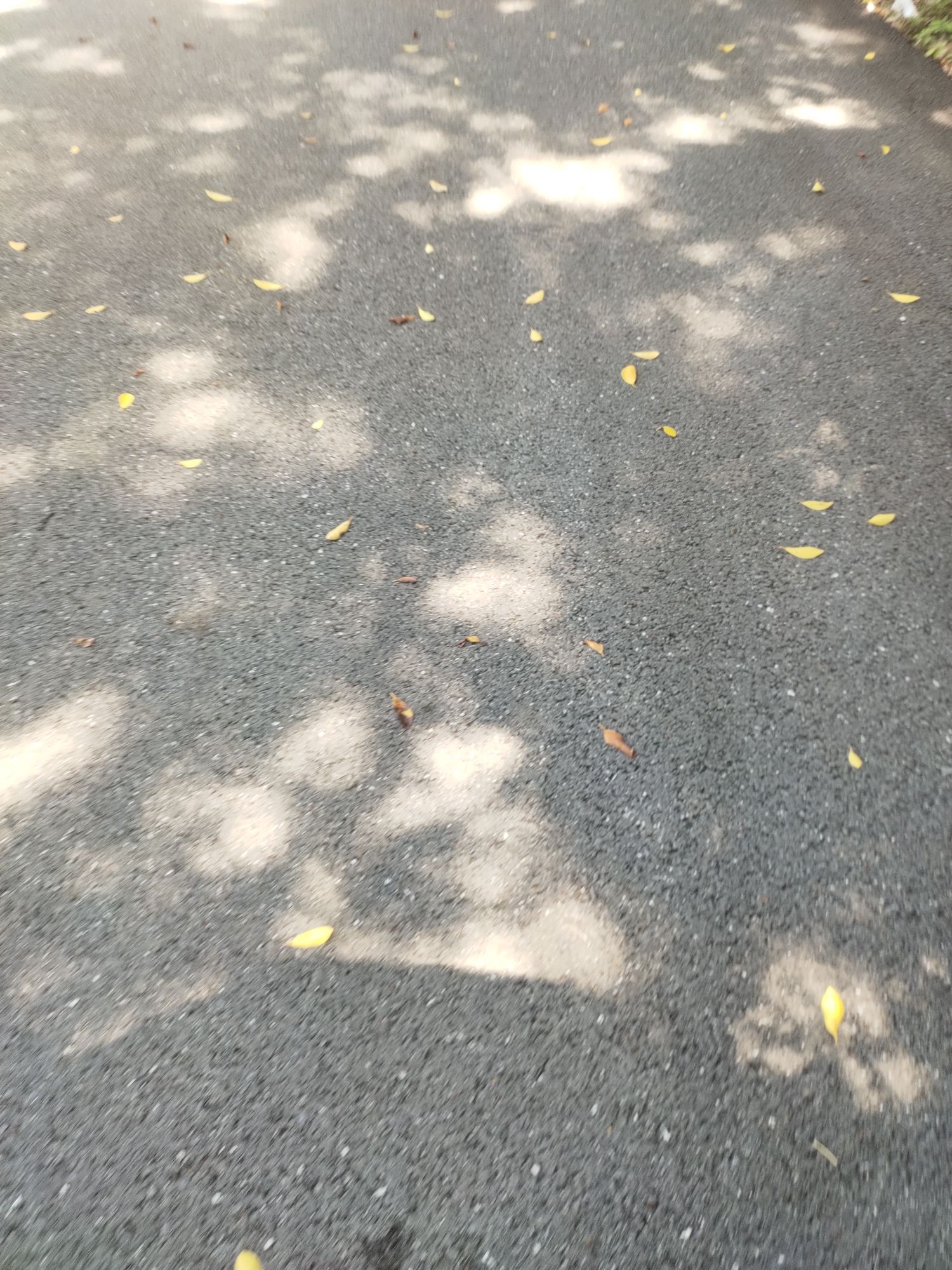 龙珠湖风景区旅行图片 2
