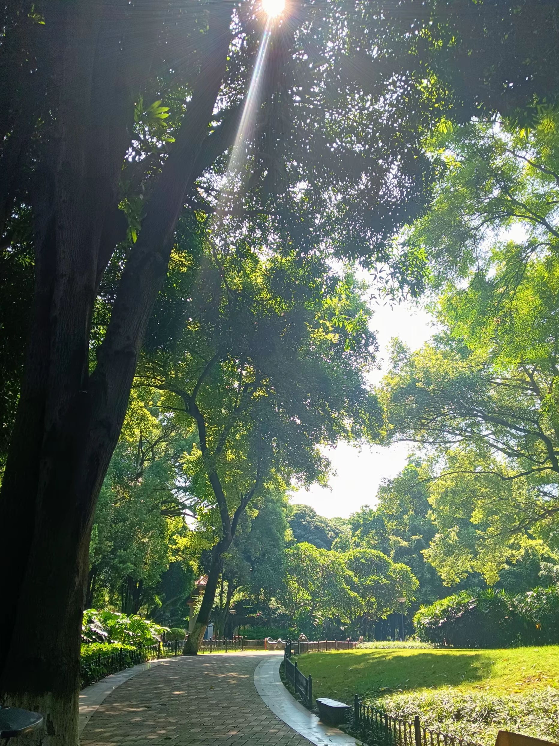 百色人民公园旅行图片 1