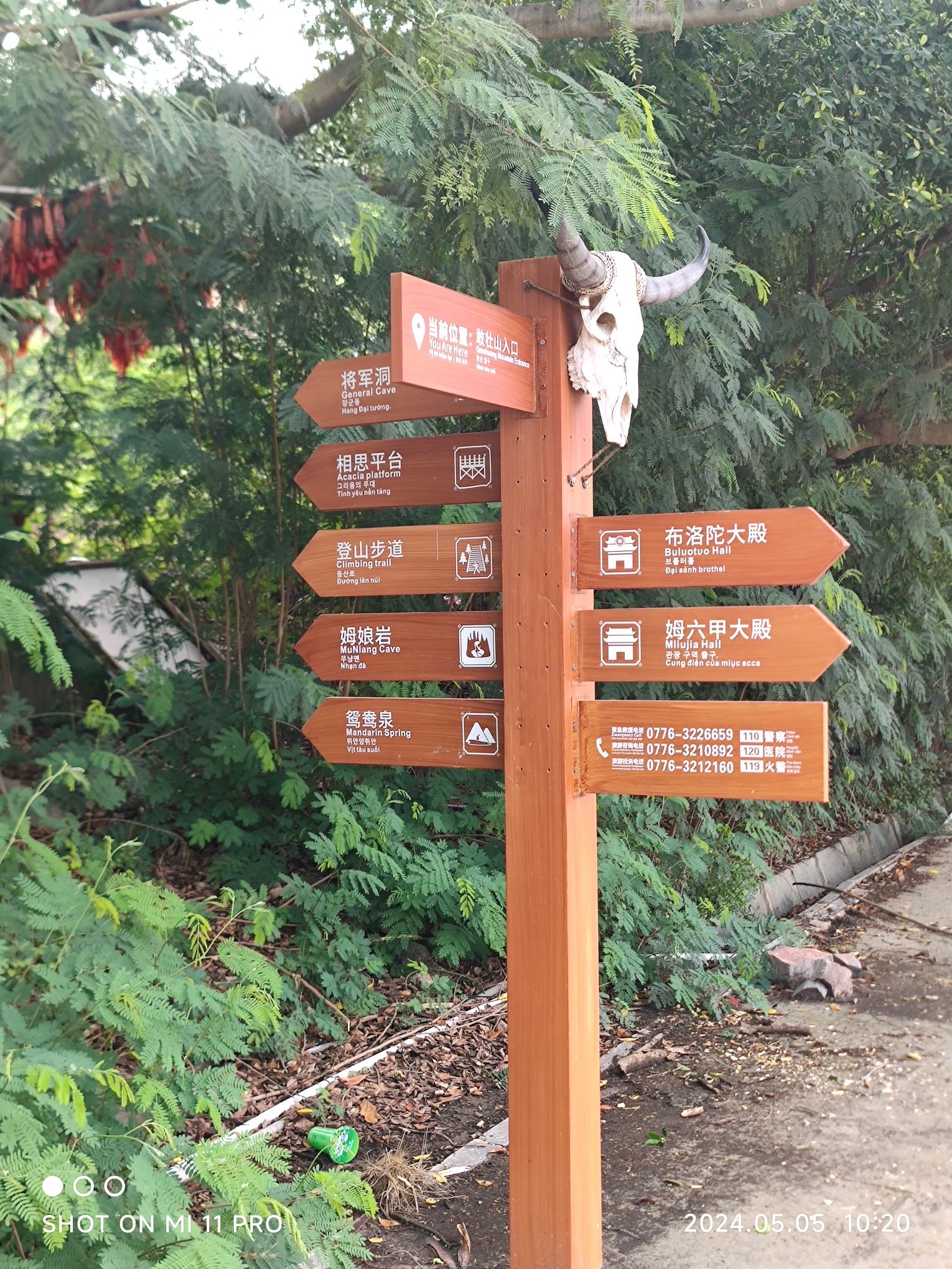 敢壮山旅行图片 2