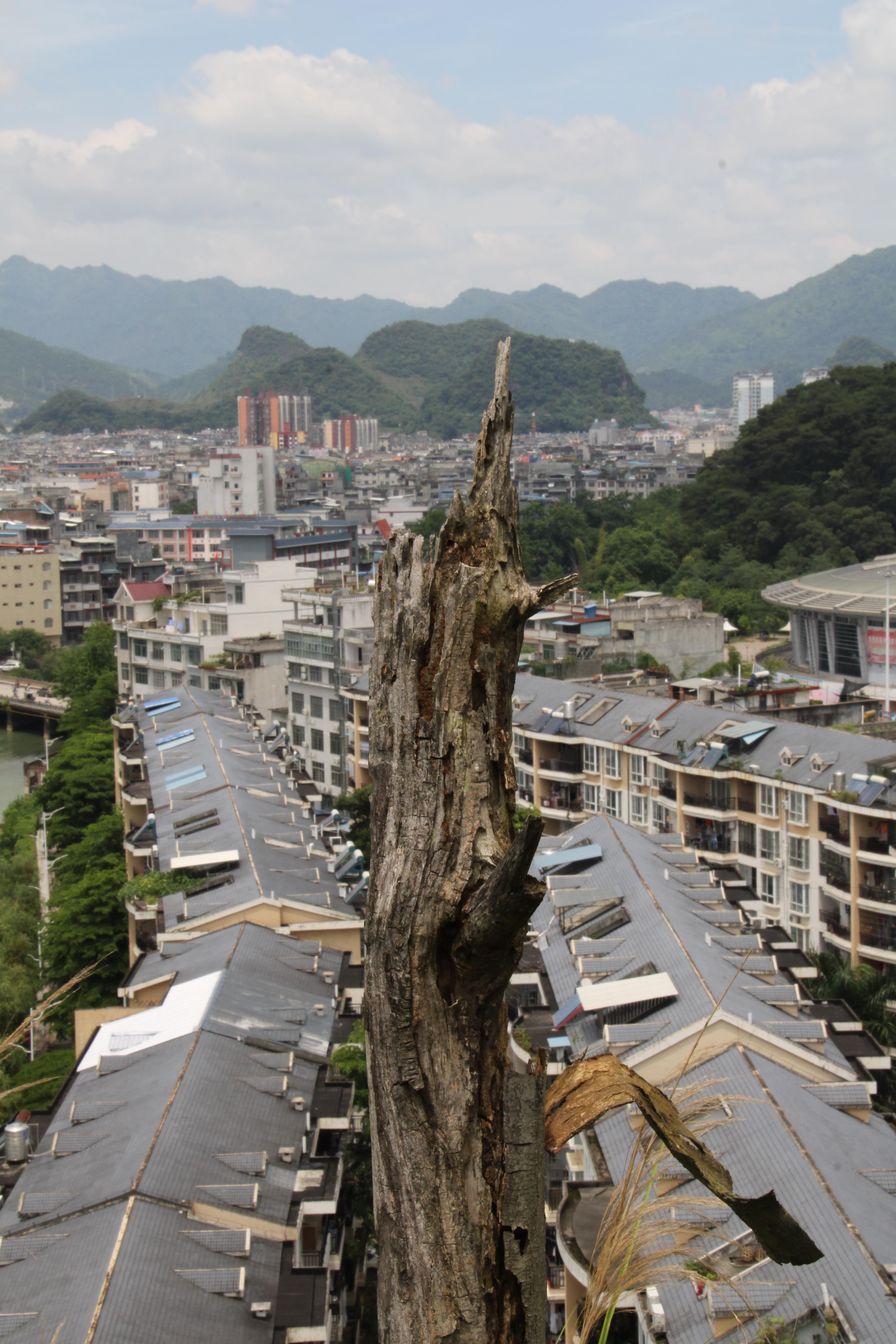 红山公园旅行图片 3