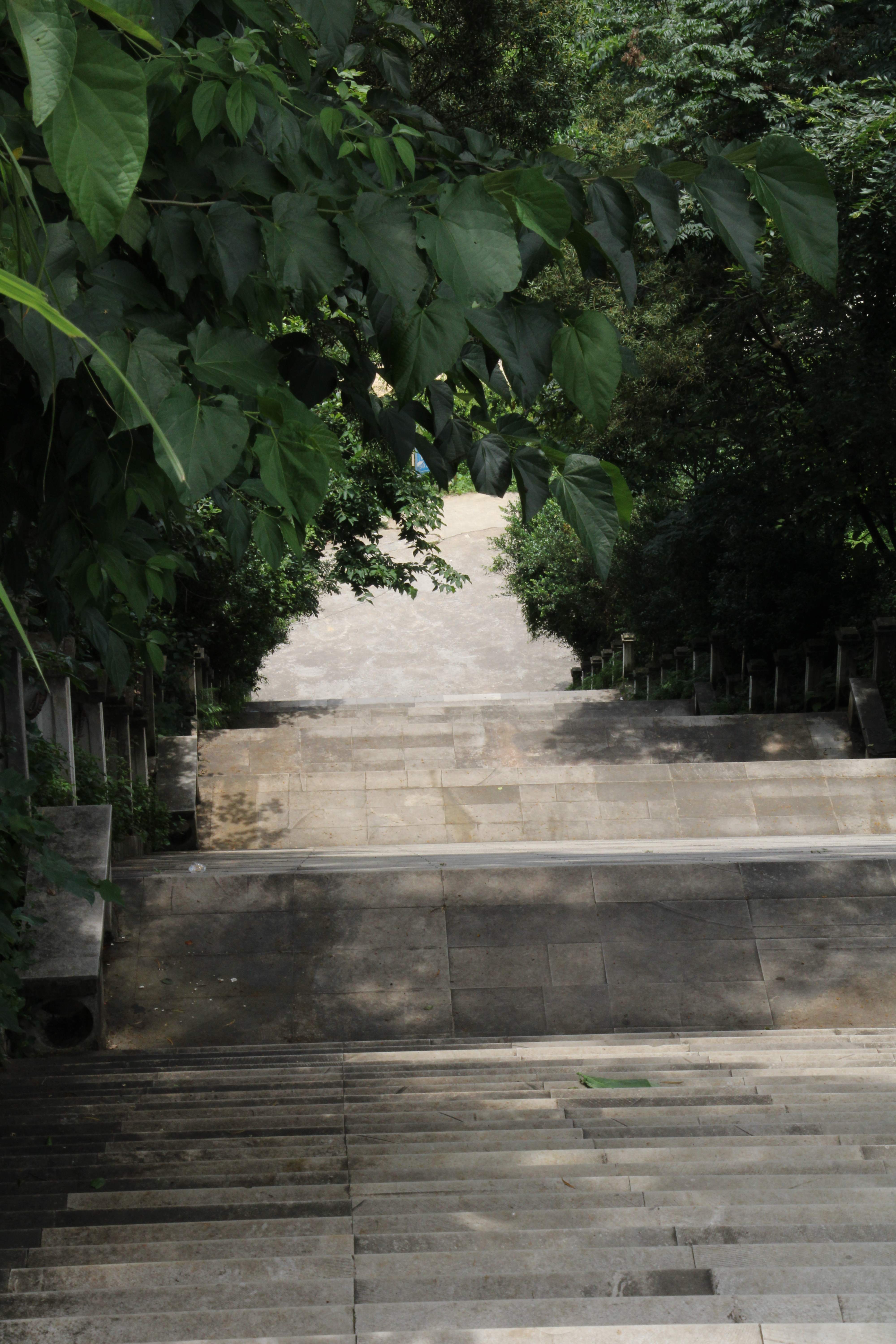 红山公园旅行图片 2