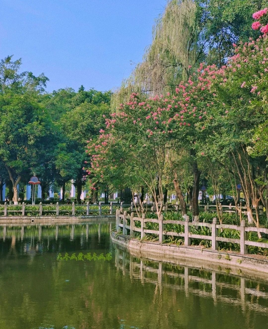 平果文化公园旅行图片 2