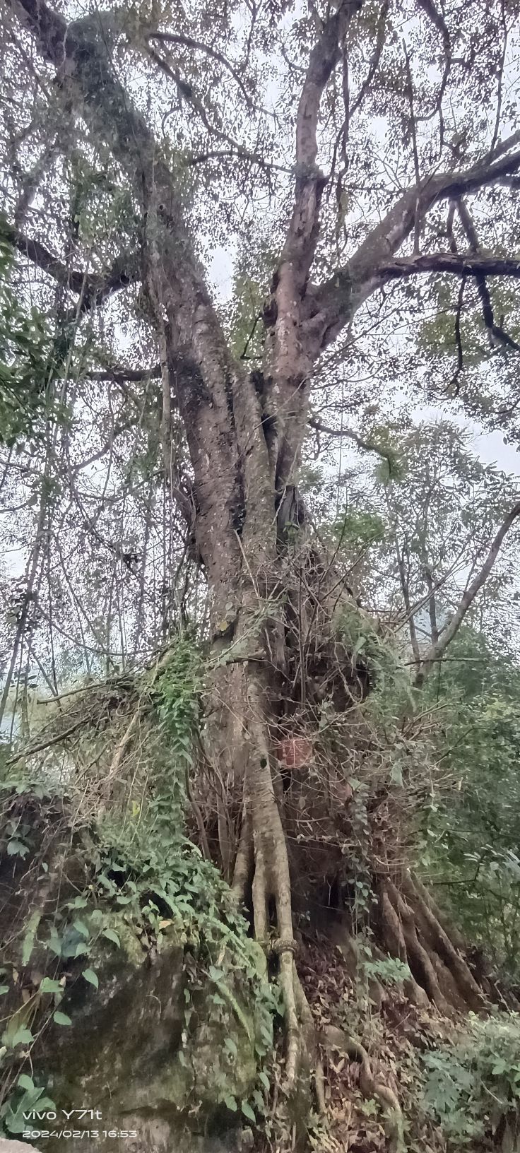 三牙山风景区旅行图片 2