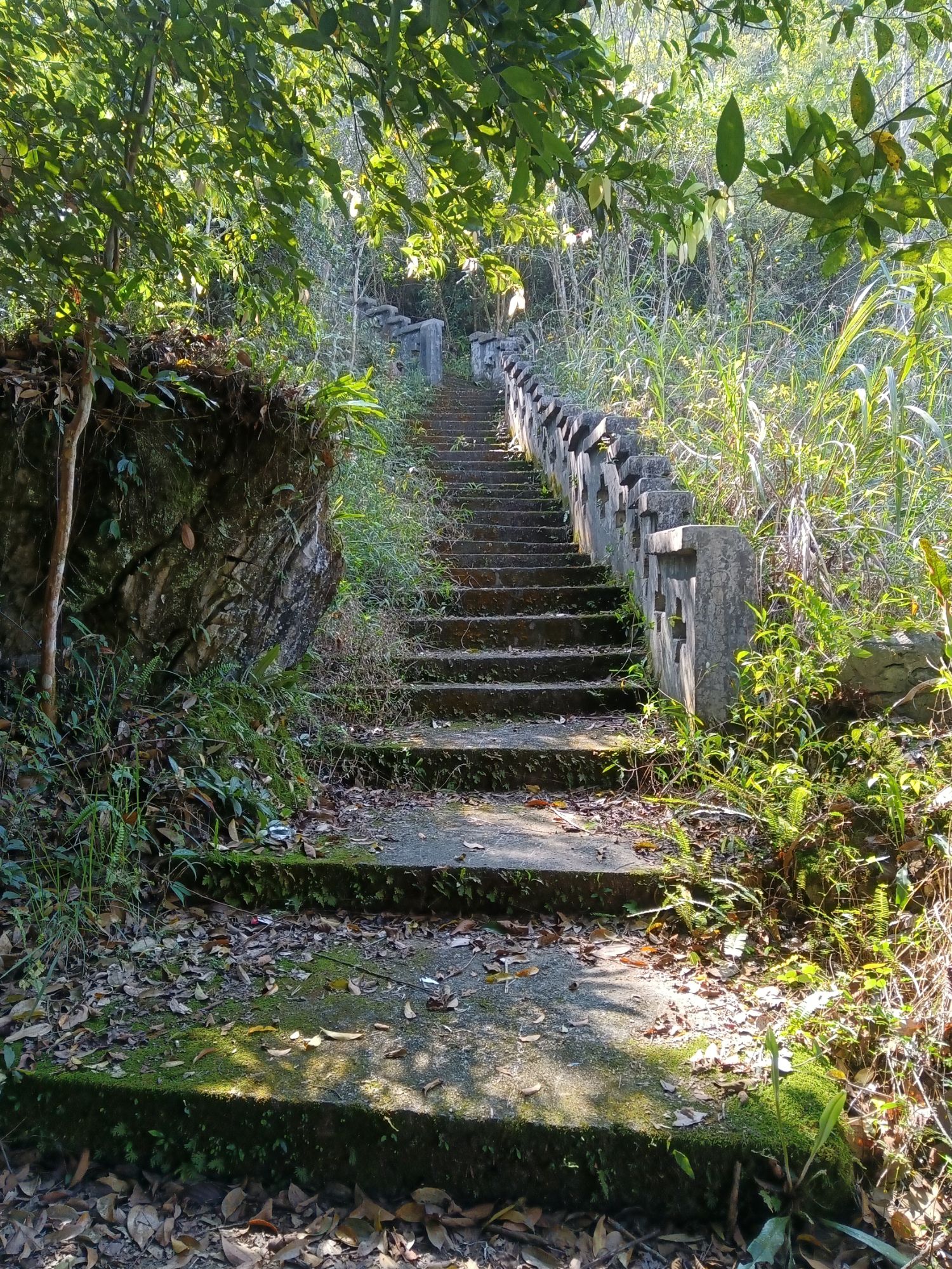 三牙山风景区旅行图片 3