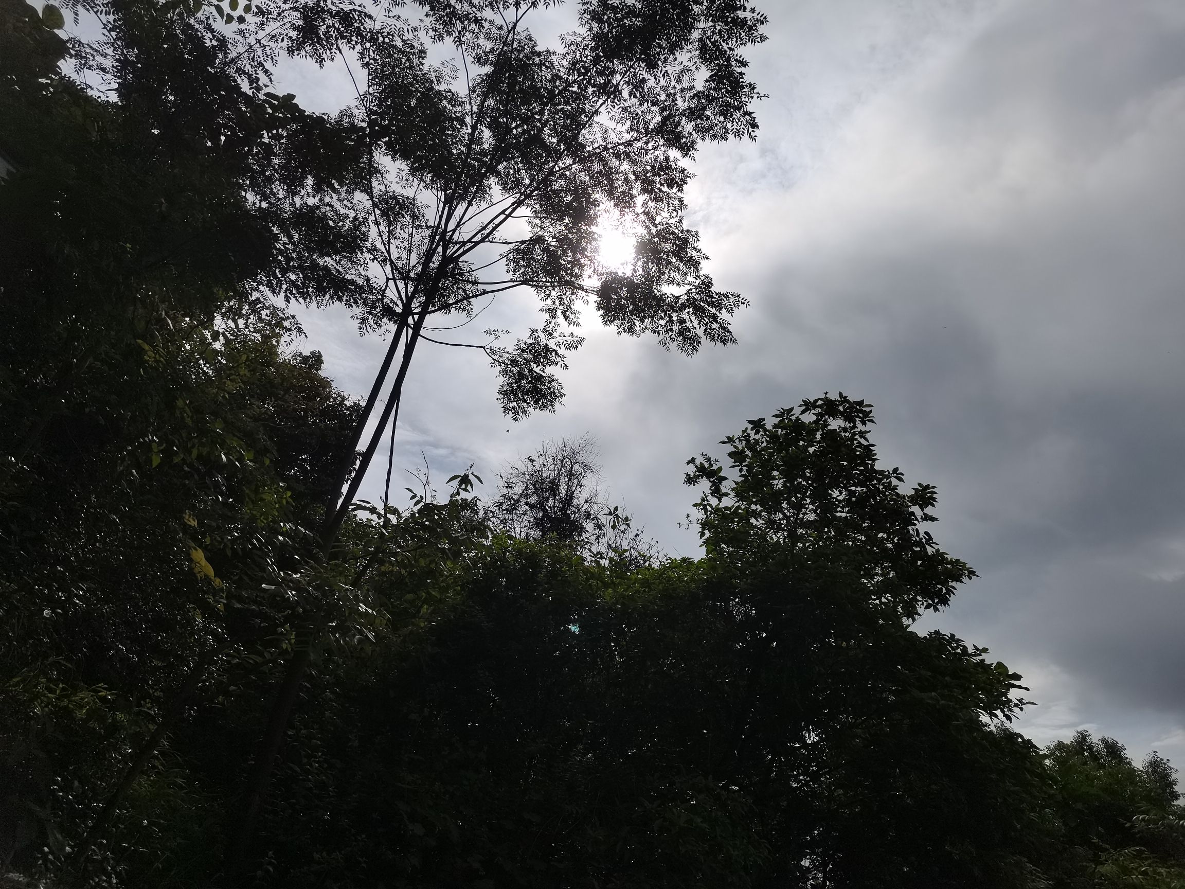 后龙山公园旅行图片 3