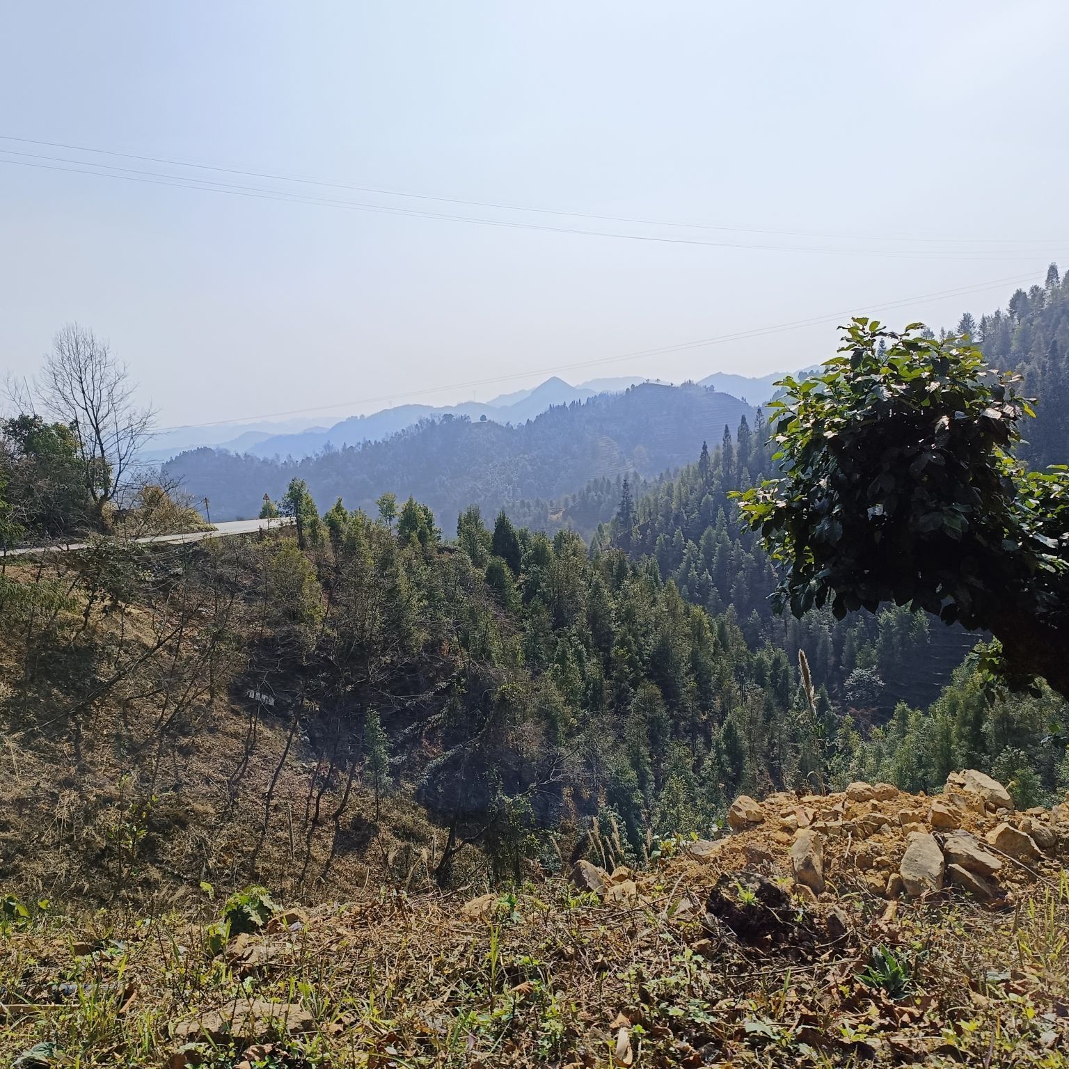 茶山金字塔景区旅行图片 1