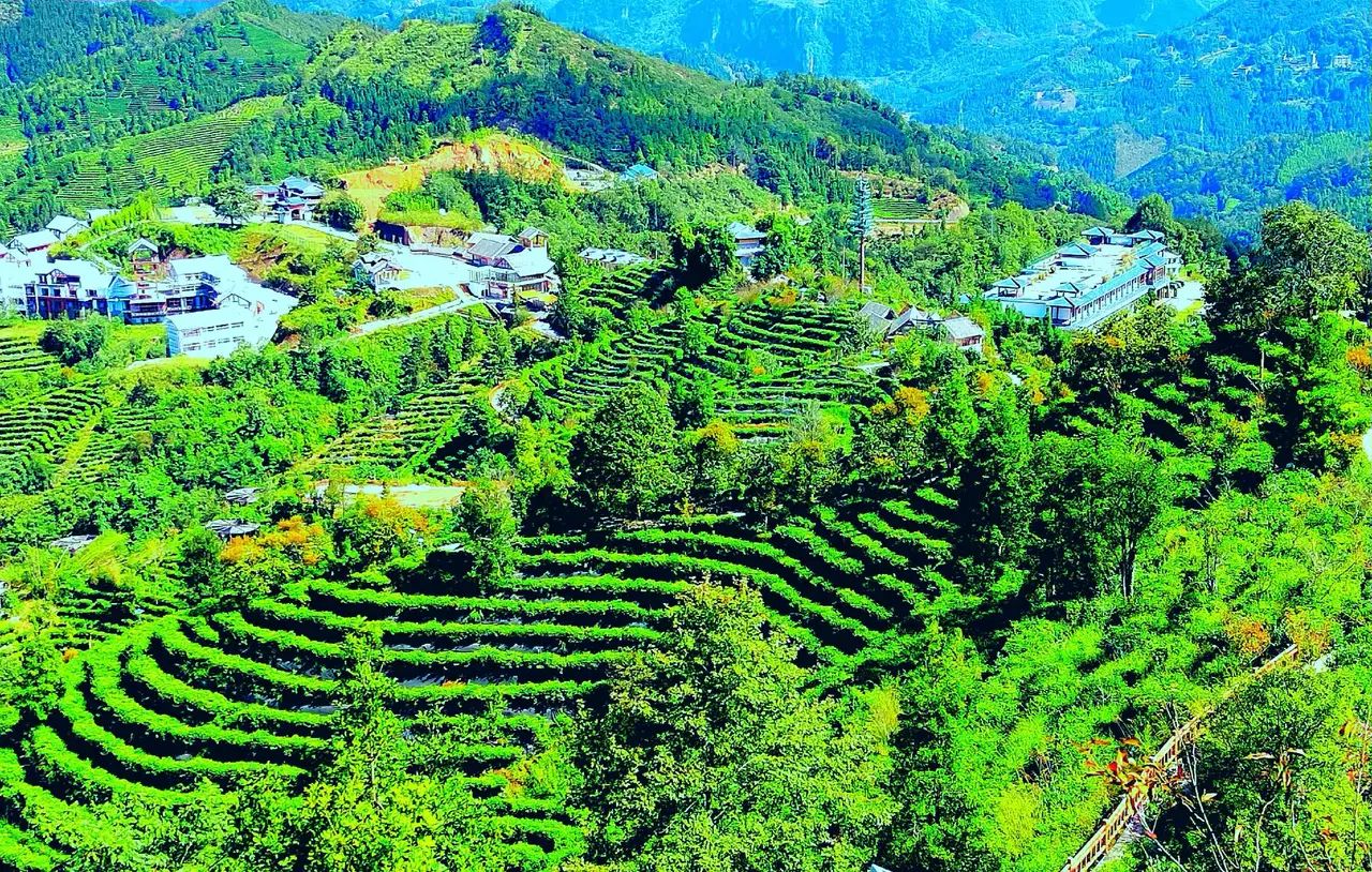 茶山金字塔景区
