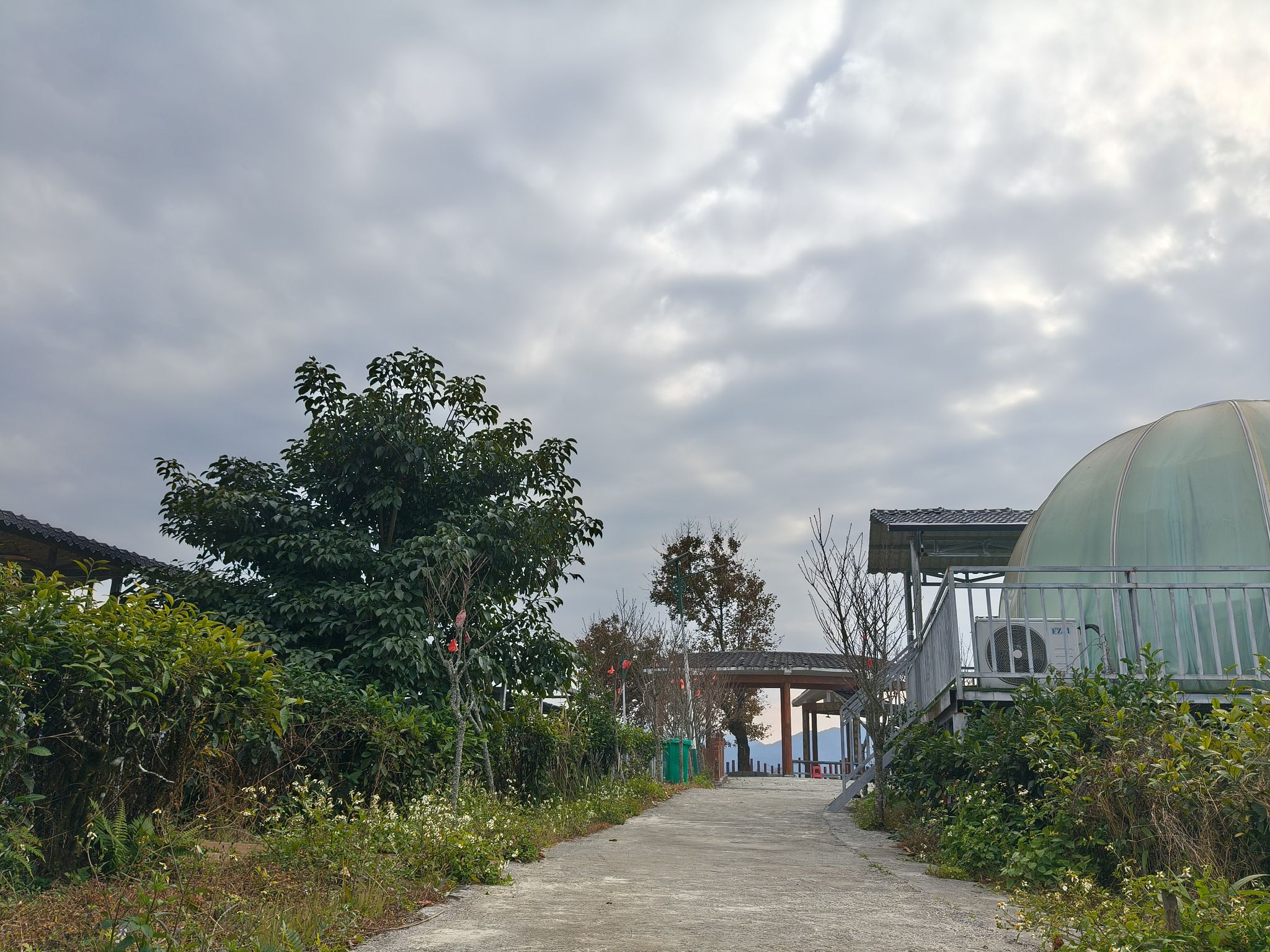 茶山金字塔景区旅行图片 3