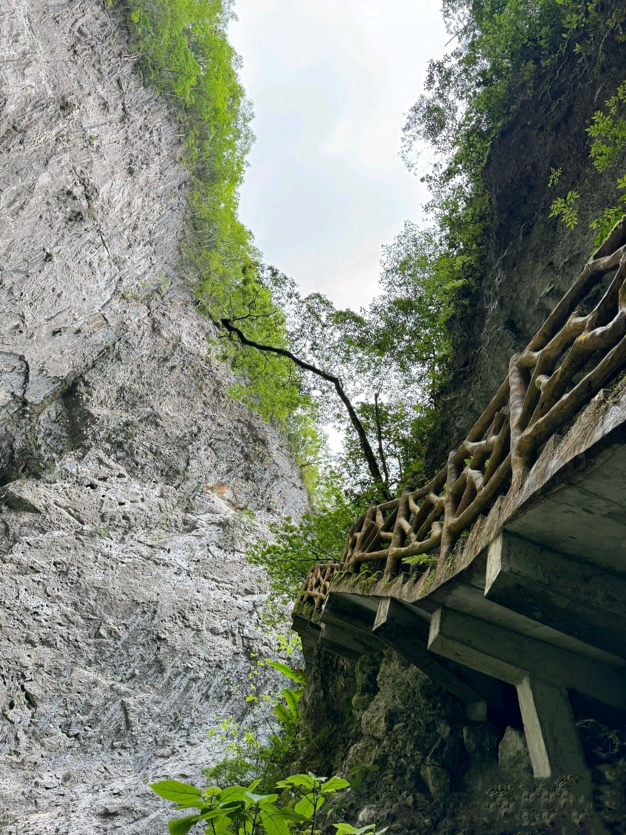 大石围天坑群景区旅行图片 3