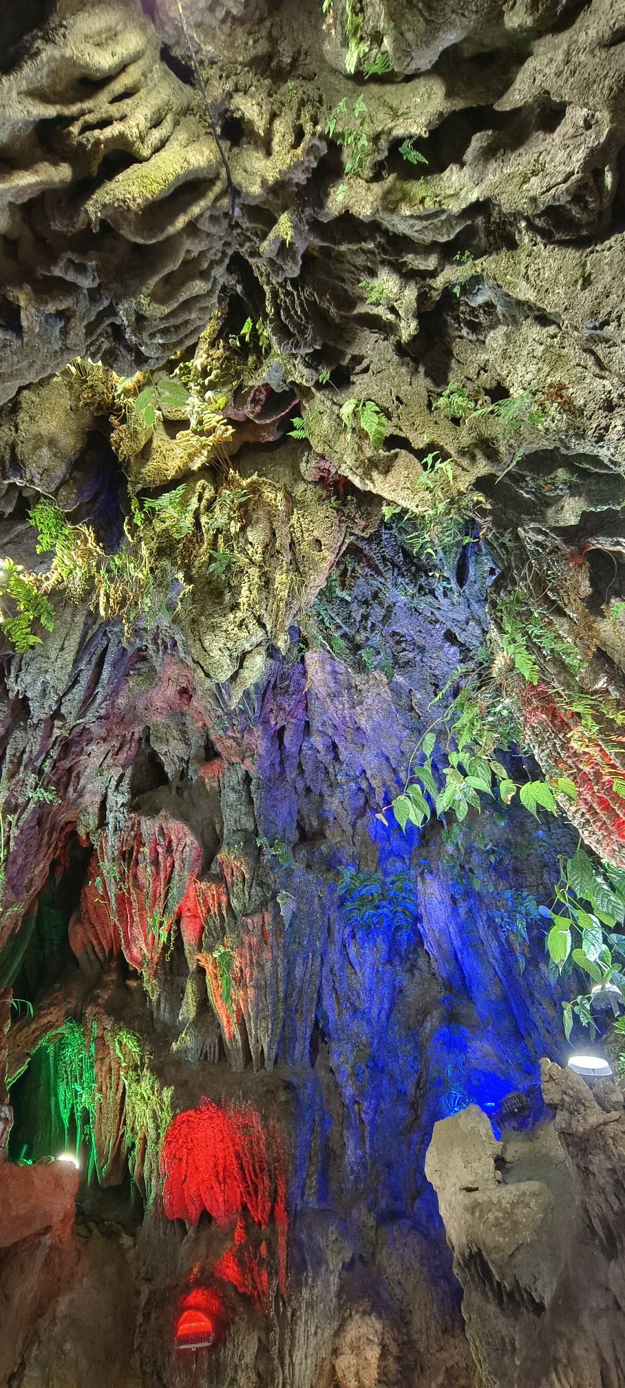 通灵大峡谷旅行图片 3