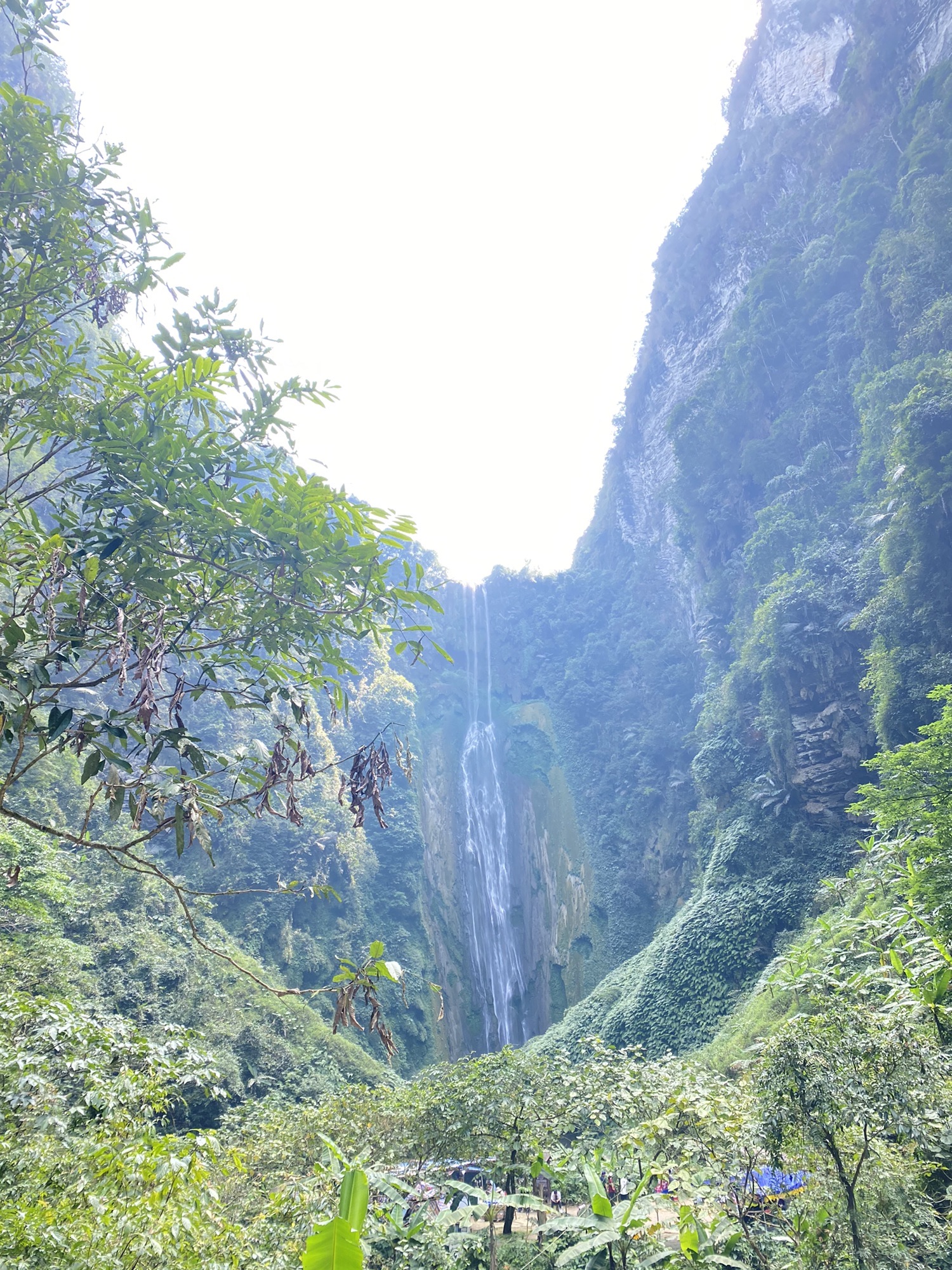 通灵大峡谷旅行图片 2